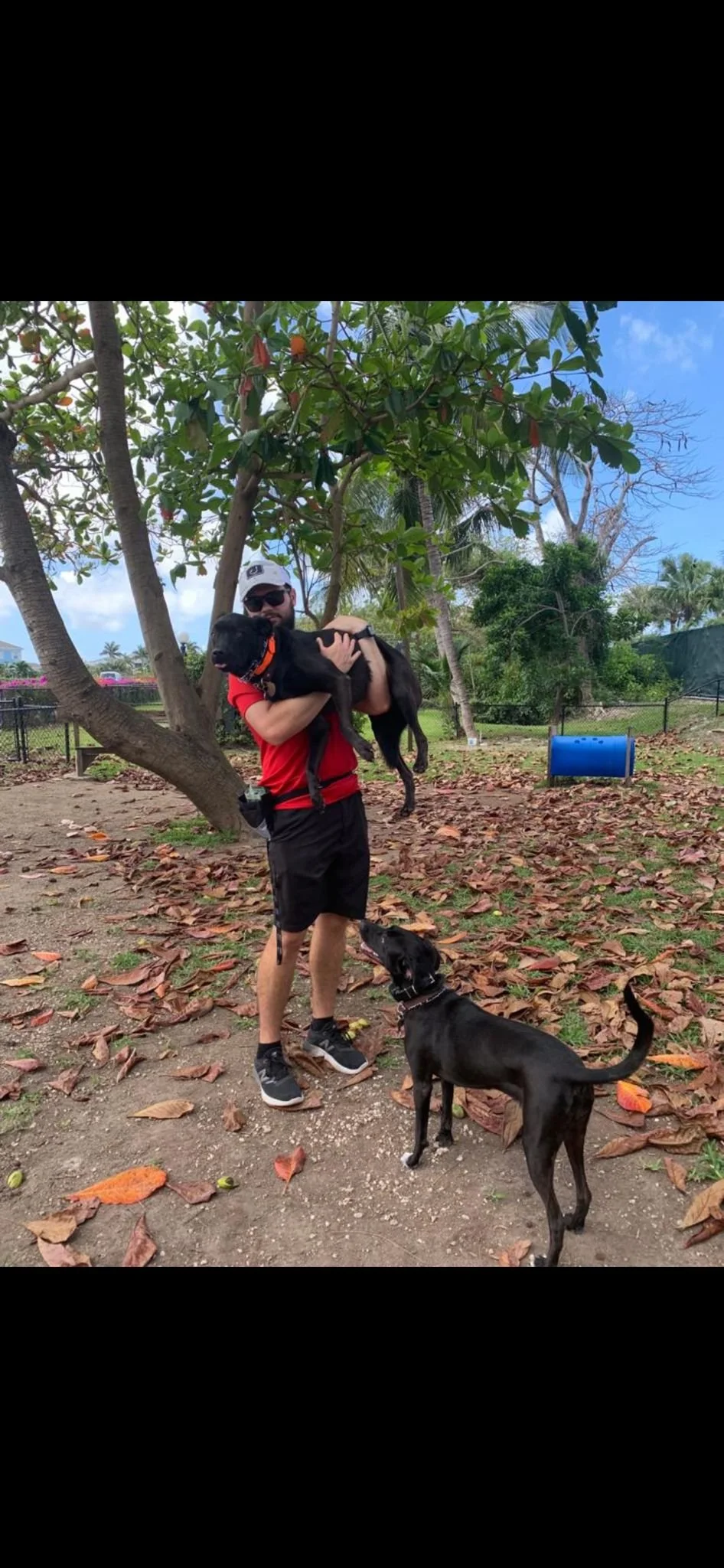 WhatsApp Image 2023-05-09 at 10.18.30 AM.jpeg