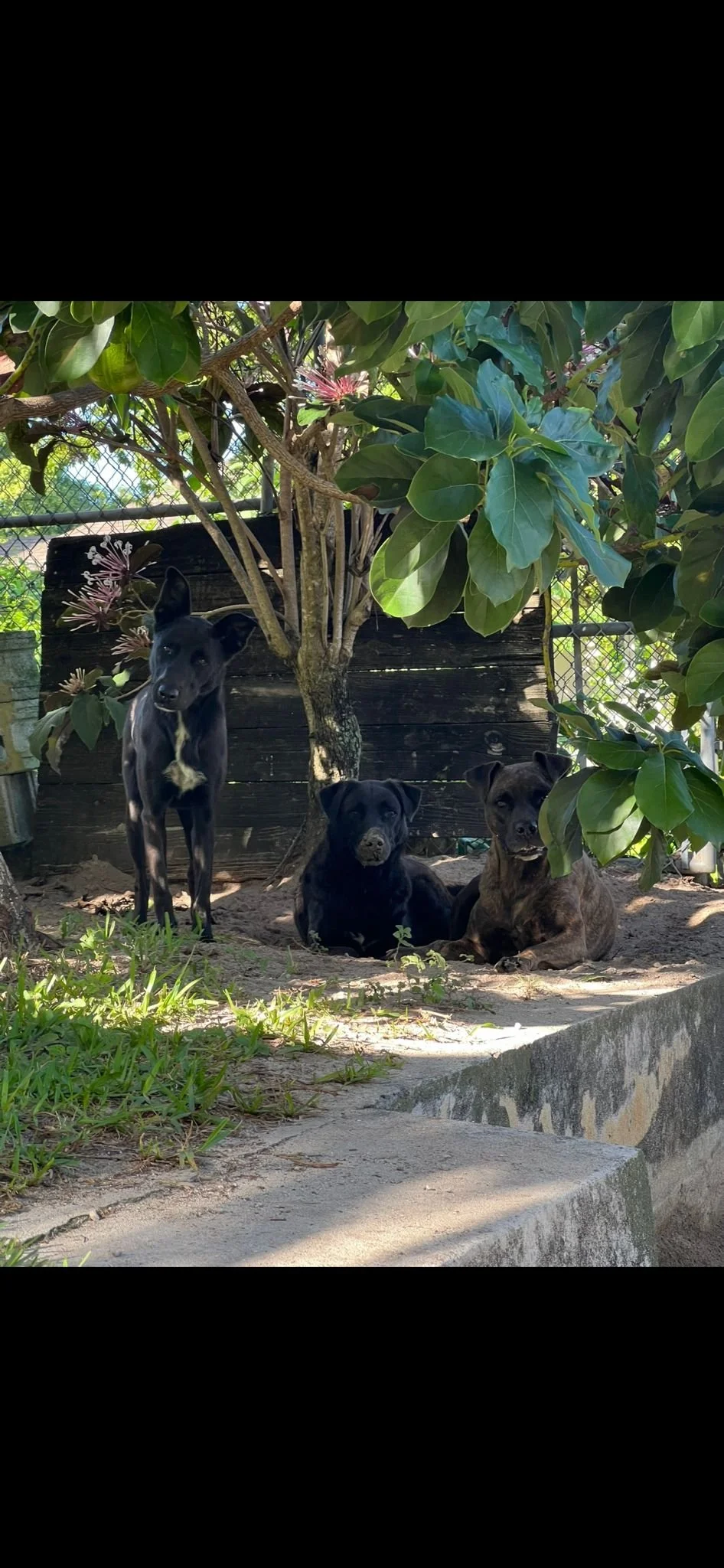 WhatsApp Image 2023-05-09 at 10.17.55 AM.jpeg