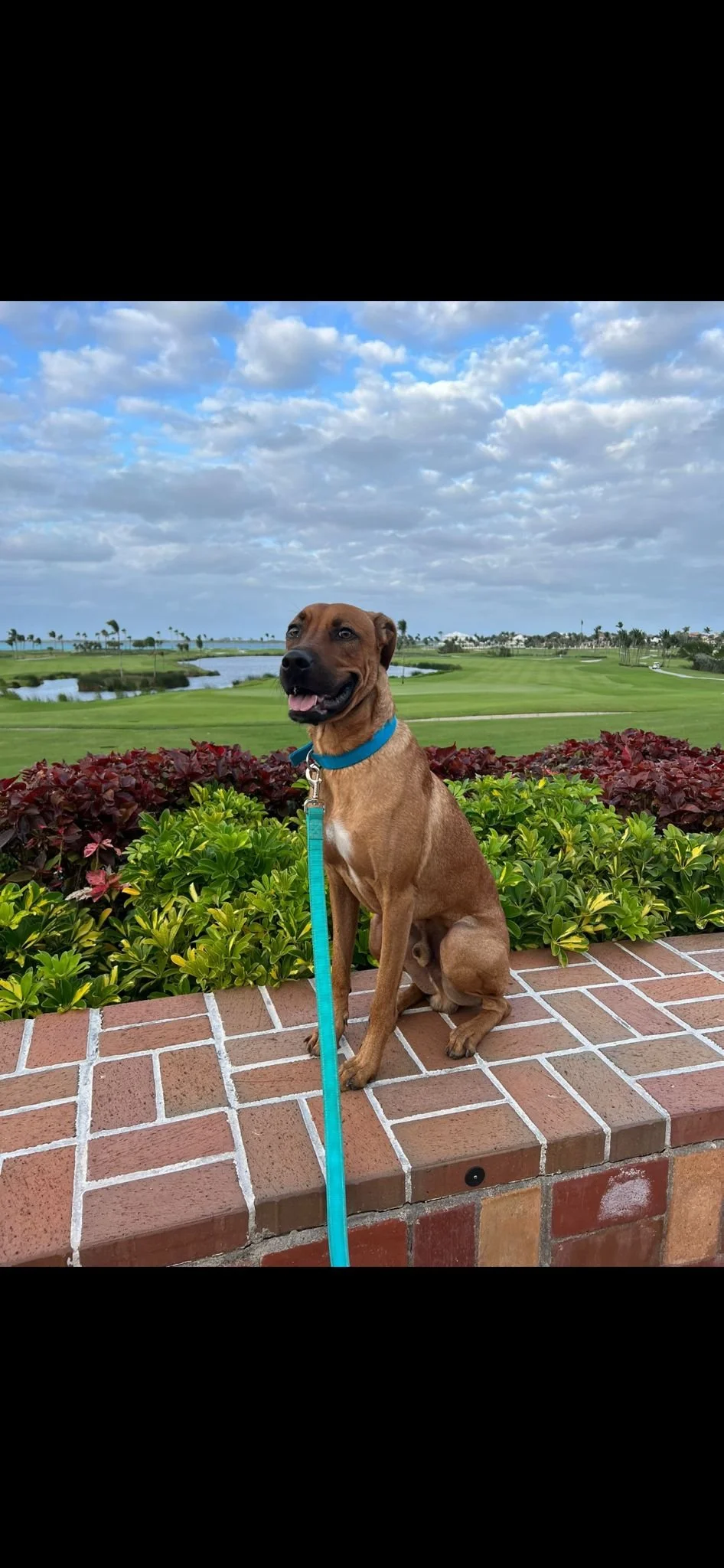 WhatsApp Image 2023-05-09 at 10.18.53 AM.jpeg