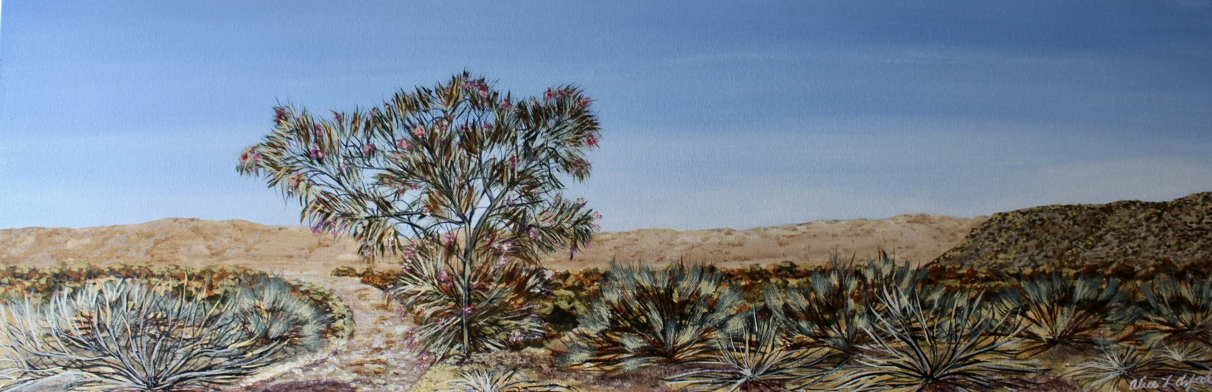 Alice Oxford's painting of a desert landscape with yucca plants and a tree, featuring a blue sky and distant hills.