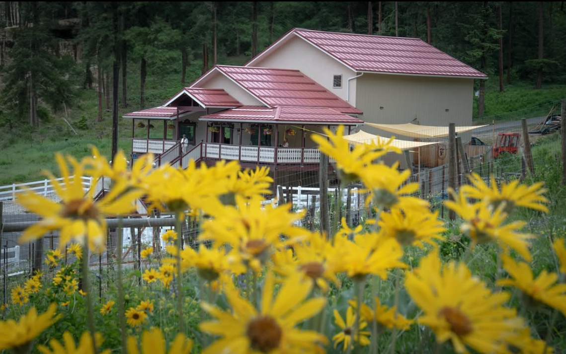 A house with a porch and a red metal roof, surrounded by trees and a garden with yellow flowers.