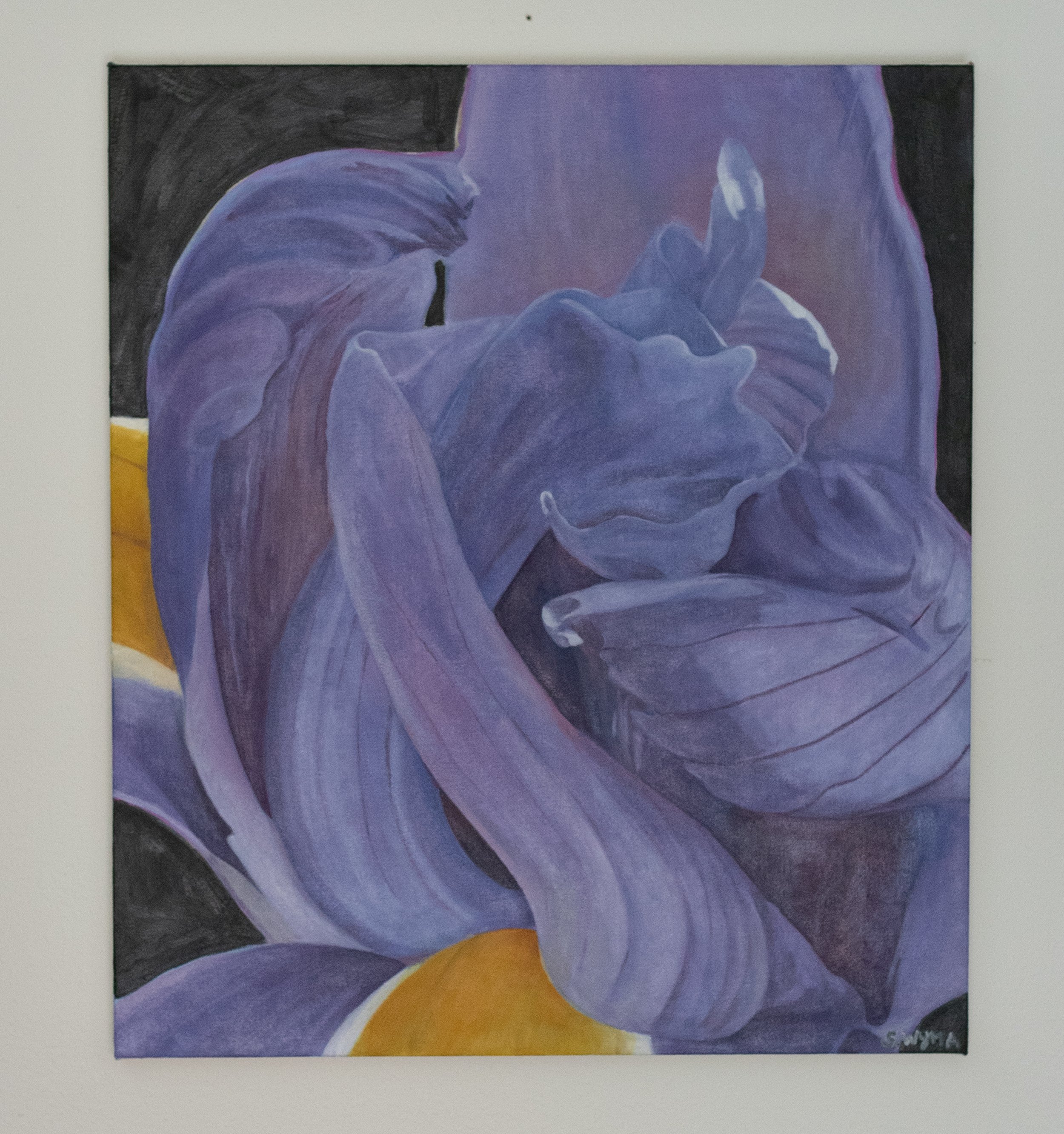 Iris-2.jpg