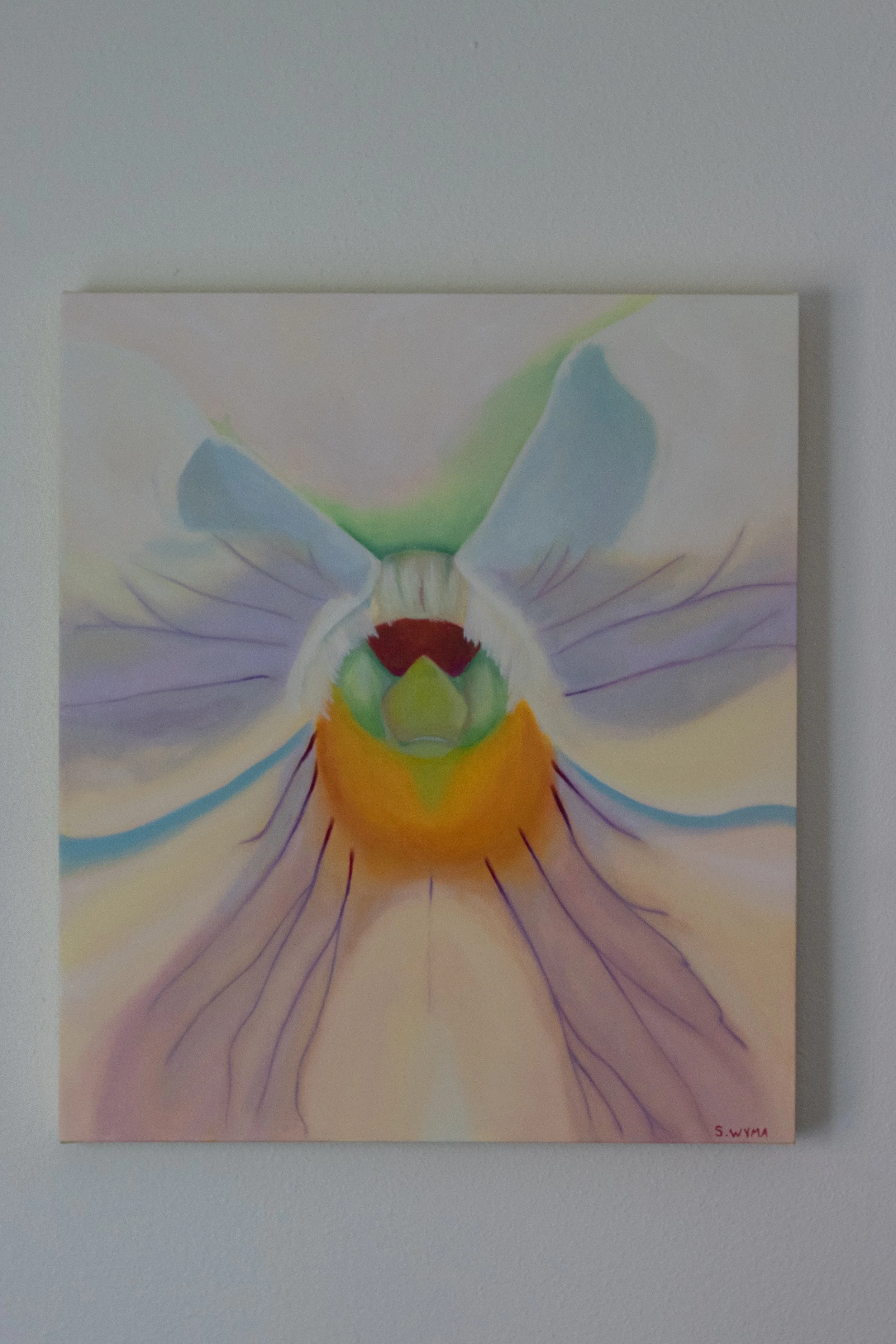 Pansy