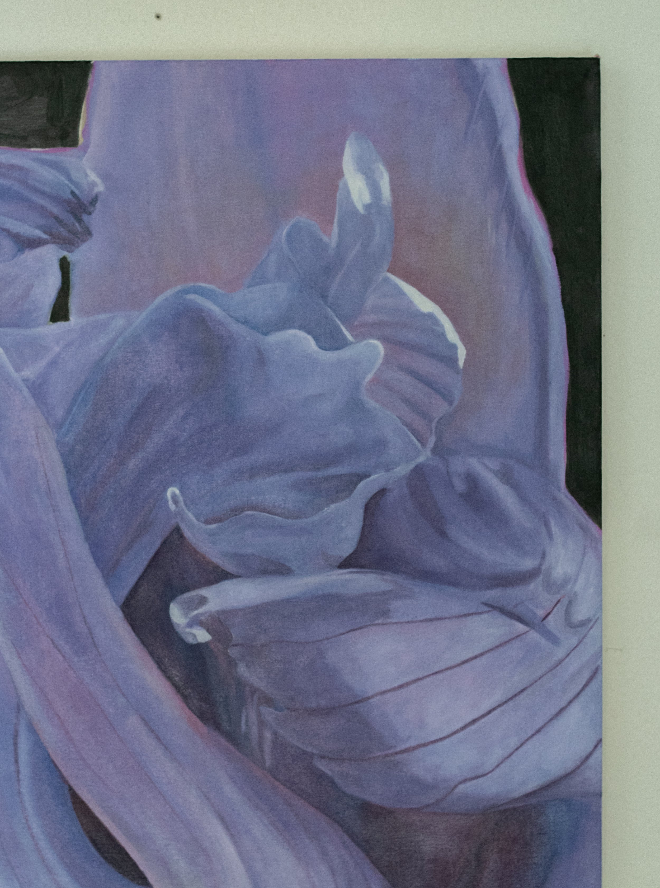 Iris-3.jpg