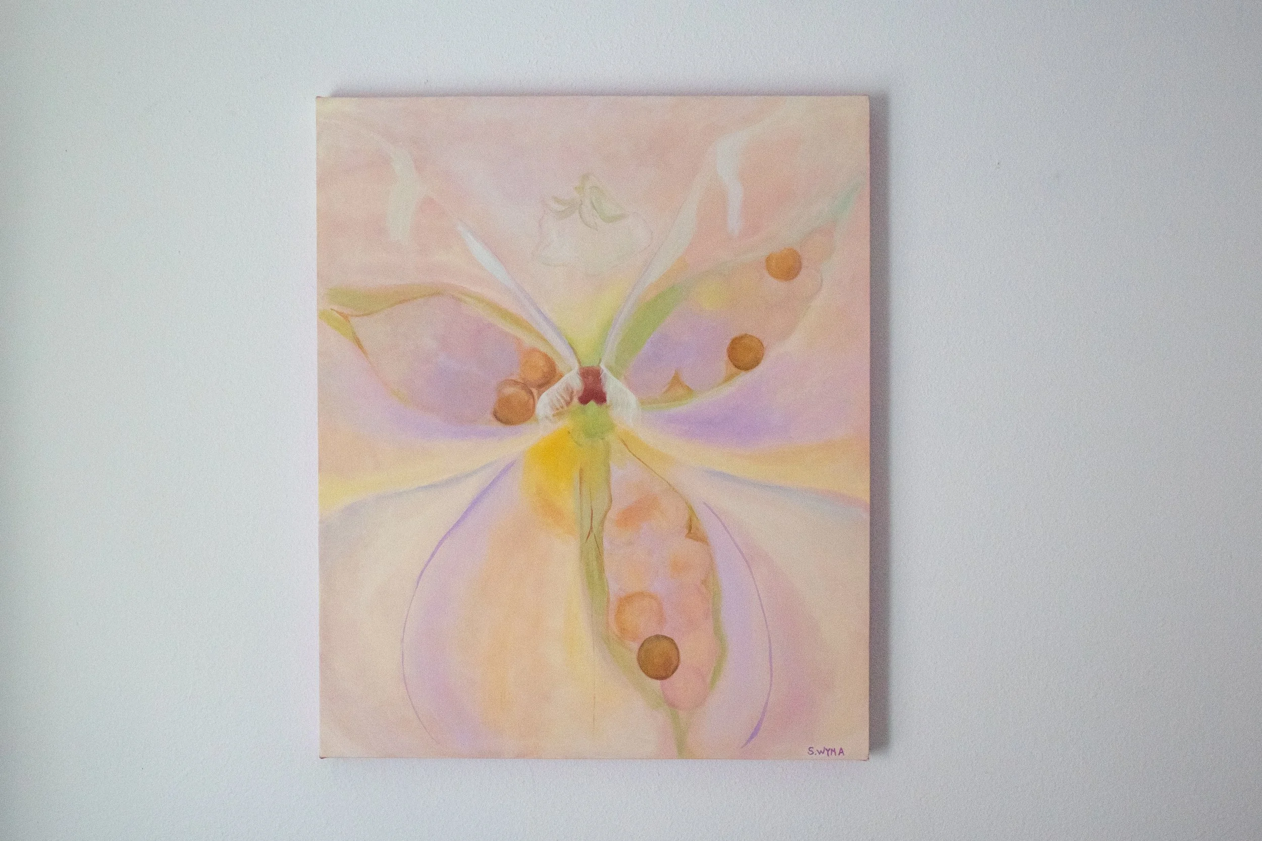 Cycle of a Pansy