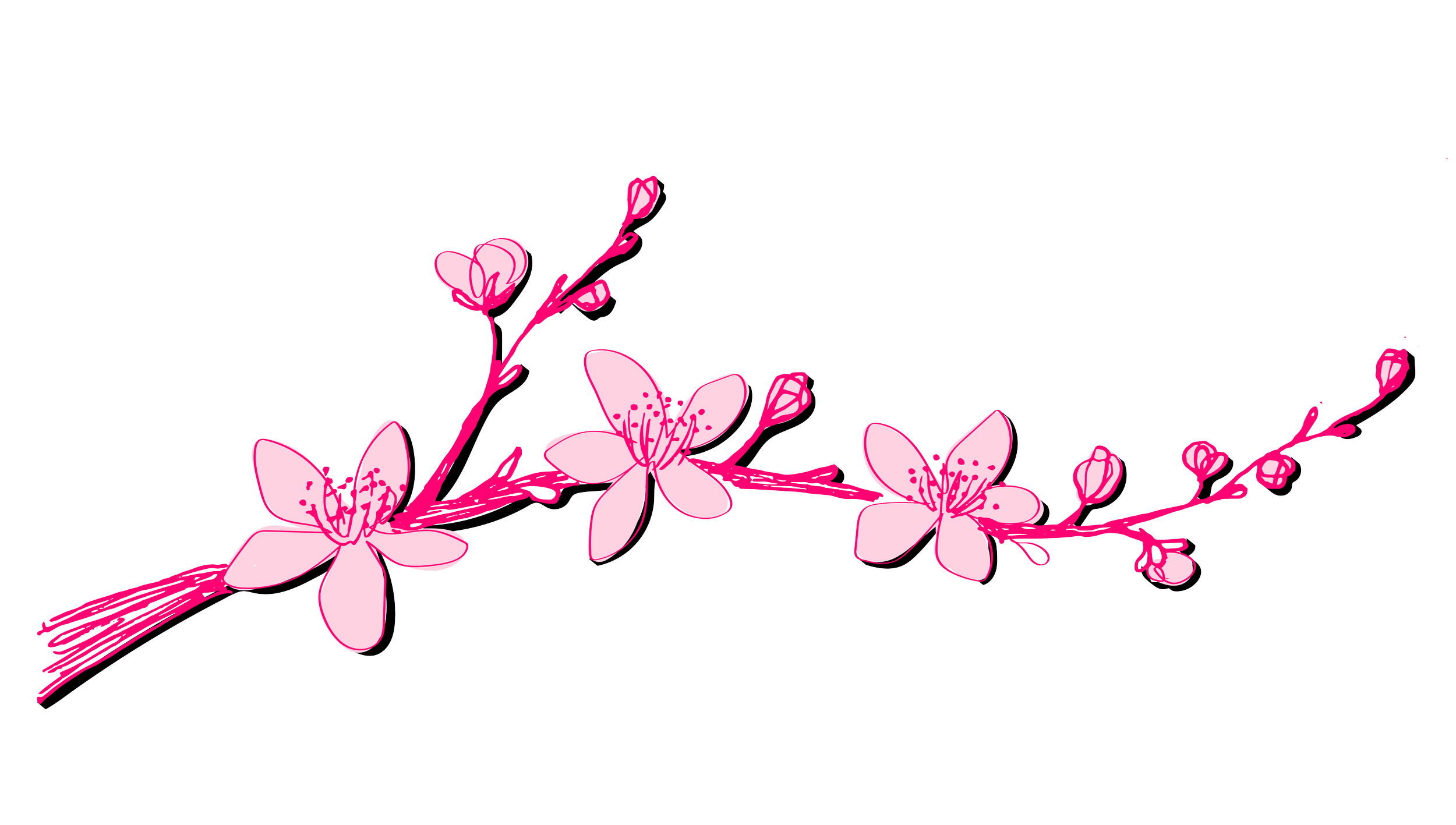 Izakaya cherry blossom illustrations-03.png