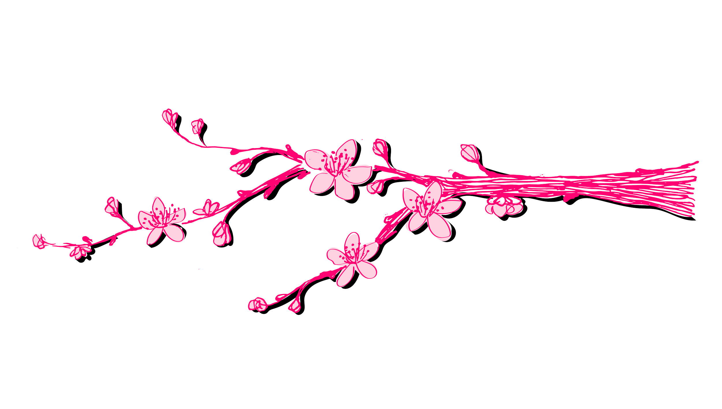 Izakaya cherry blossom illustrations-02.png