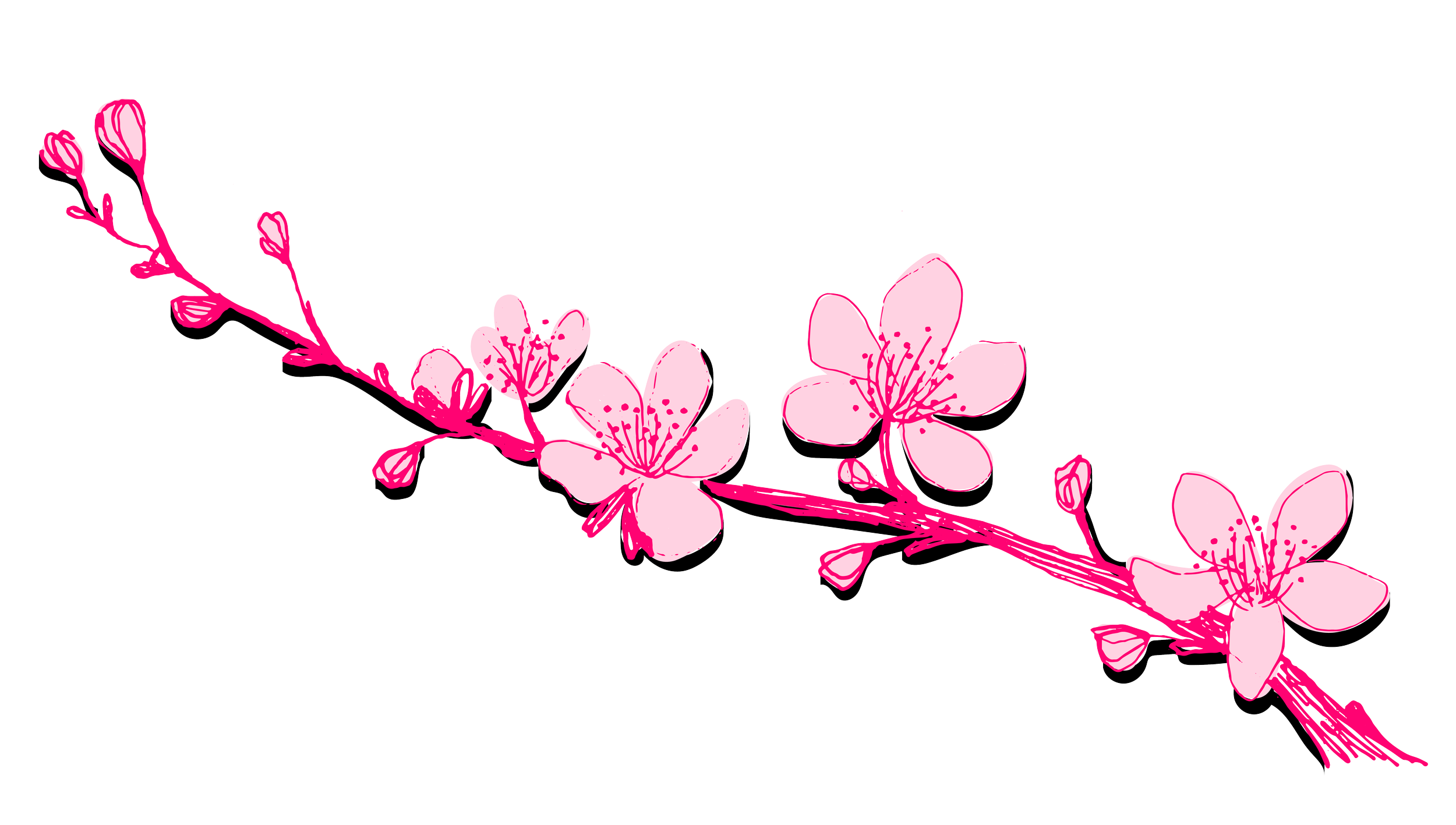 Izakaya cherry blossom illustrations-01.png