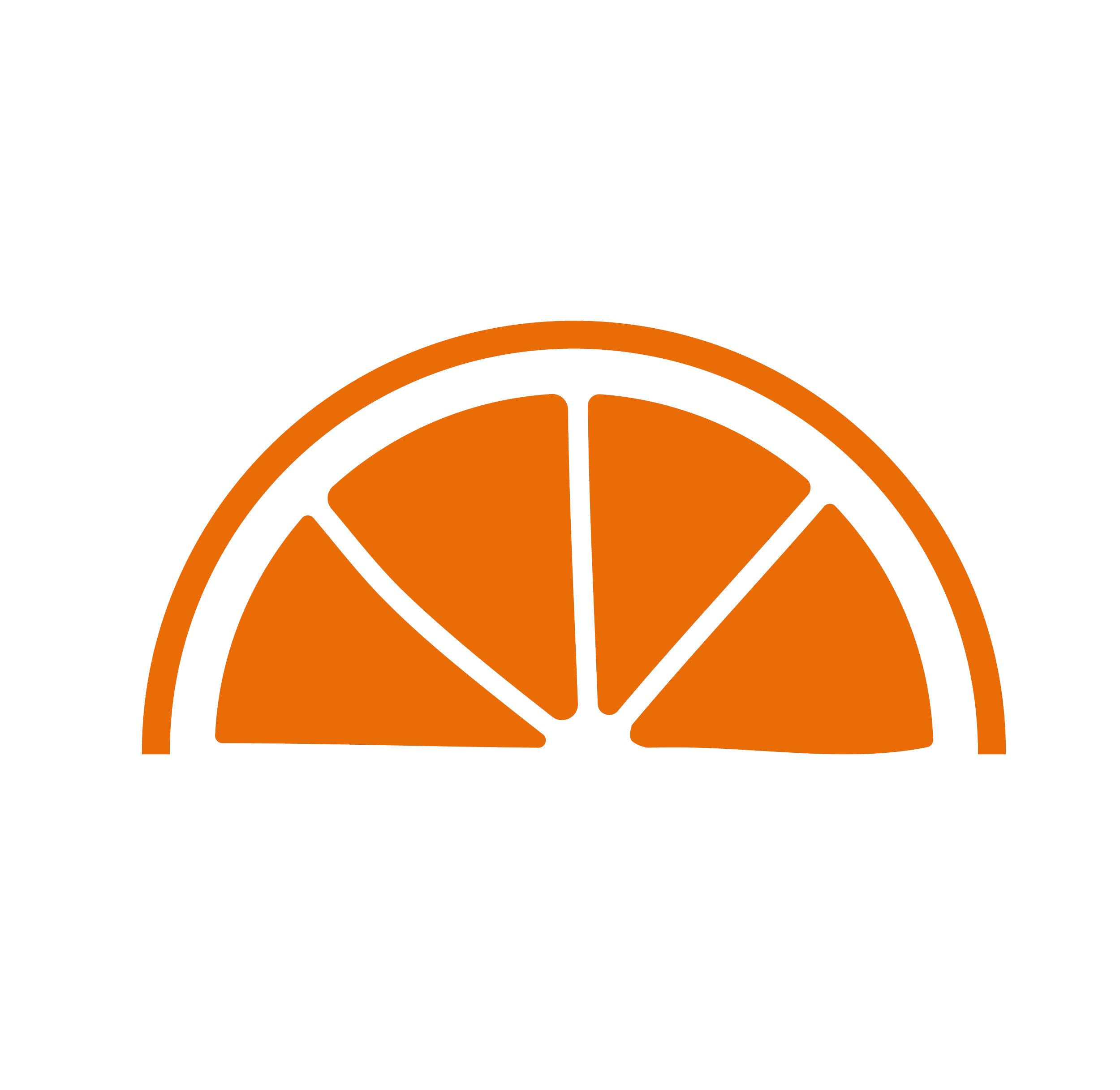 Orange slice logo supplement.