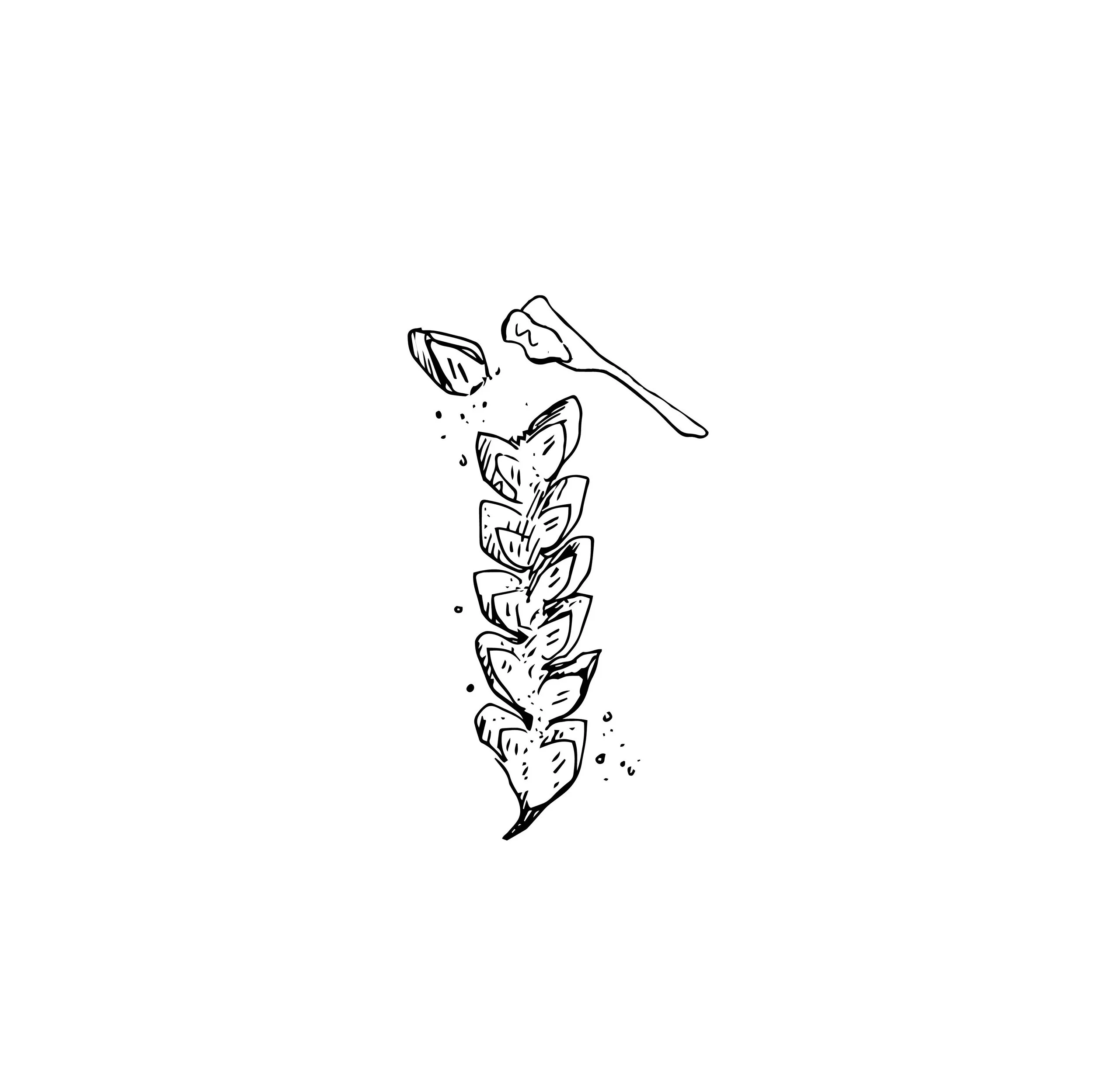 Le Select menu illustrations-04.jpg