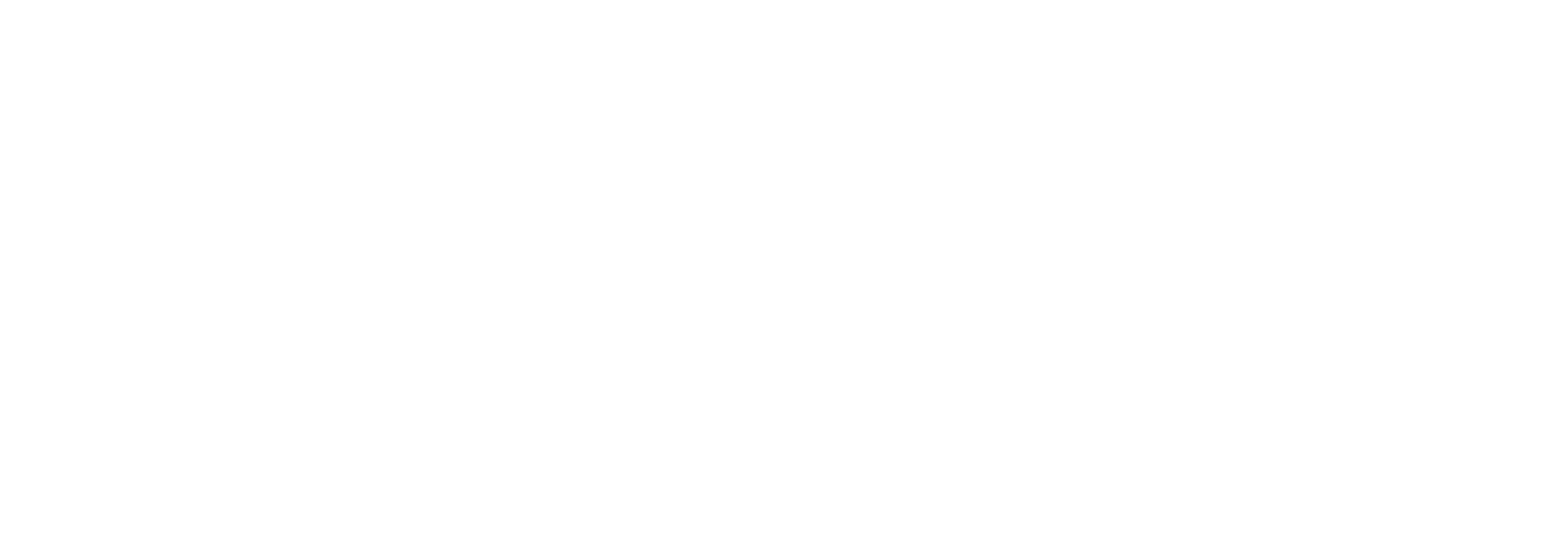 The 207 Show