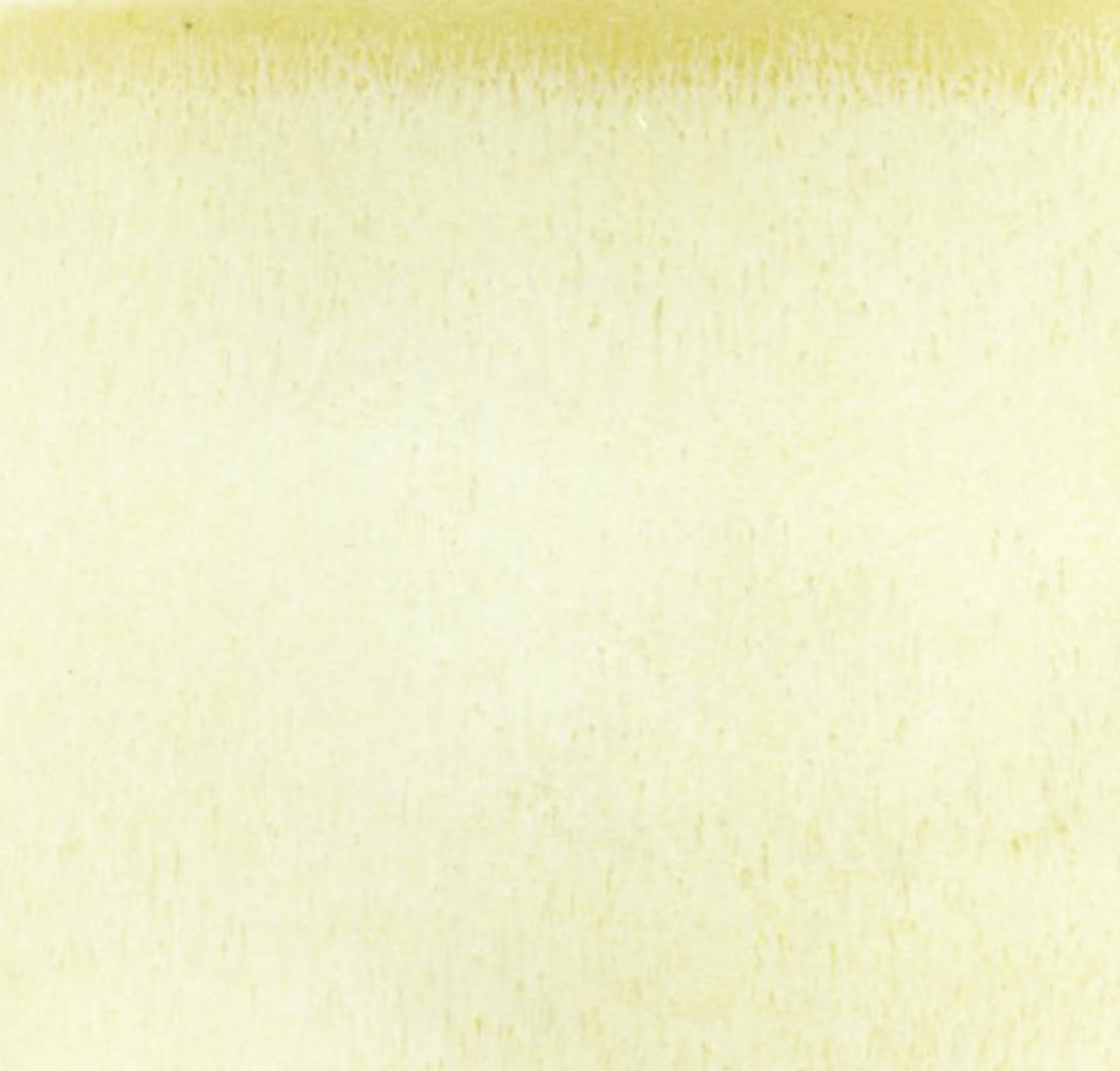 Glaze - Lemon Drop.png