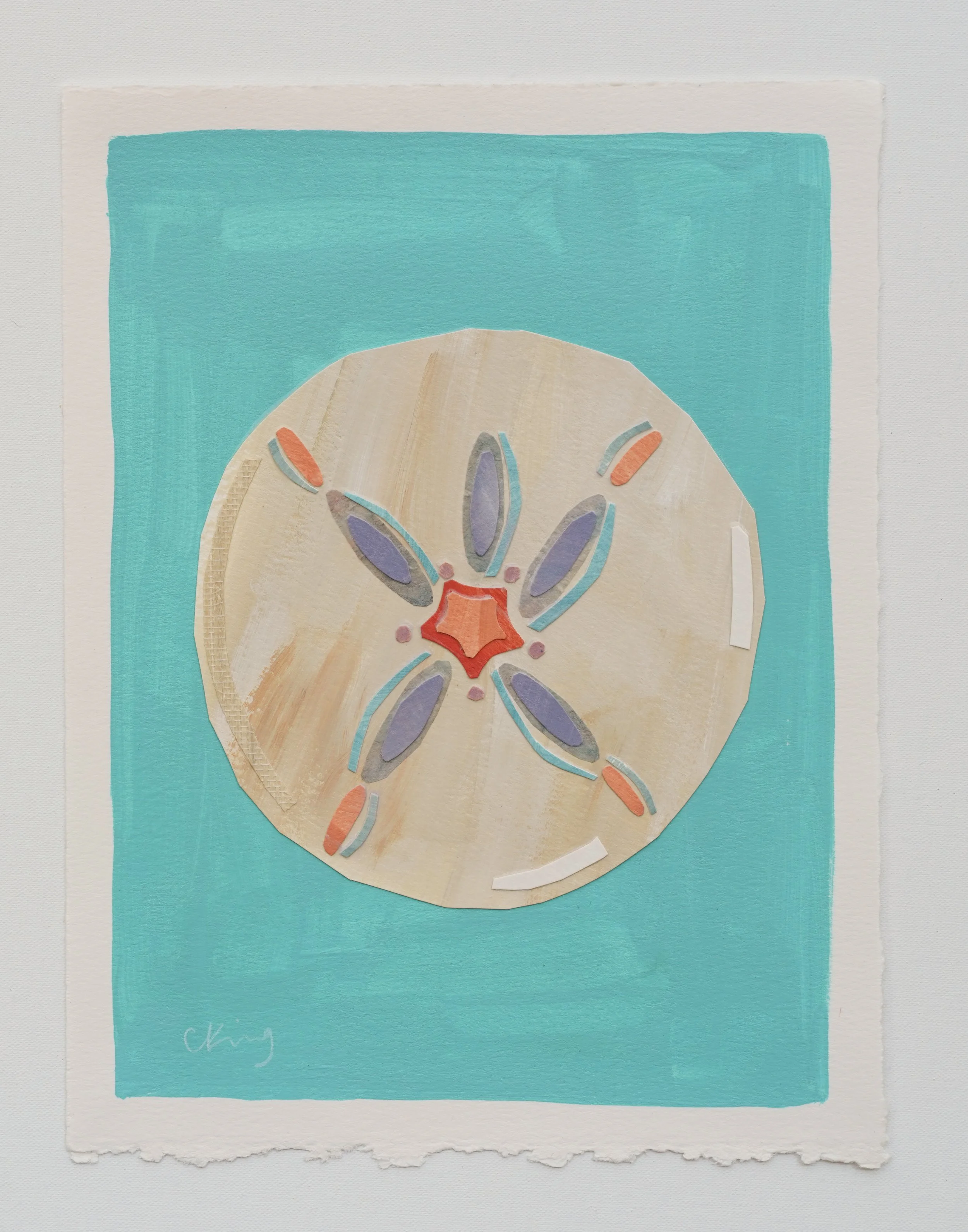 Sand Dollar 2