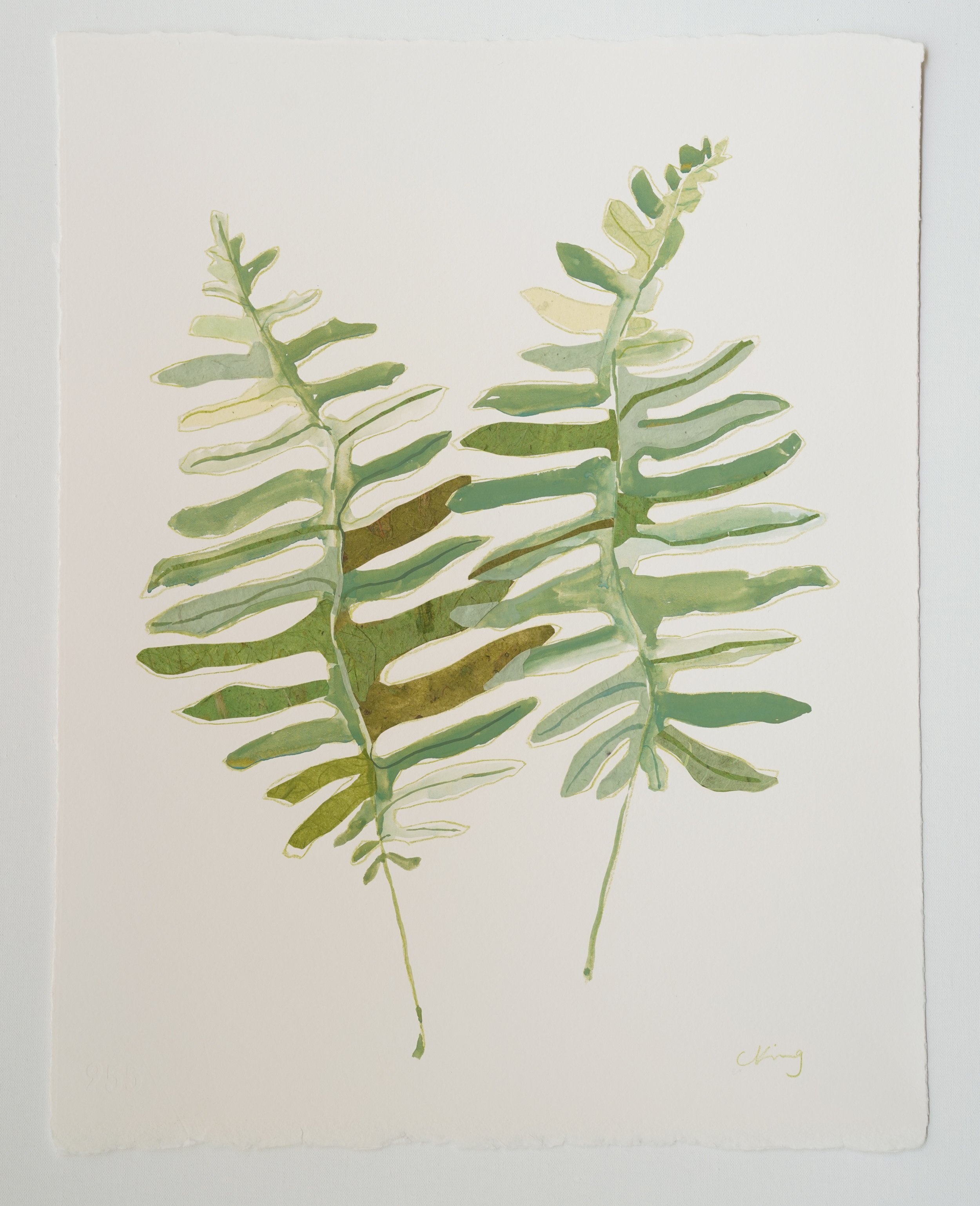 Fern 1