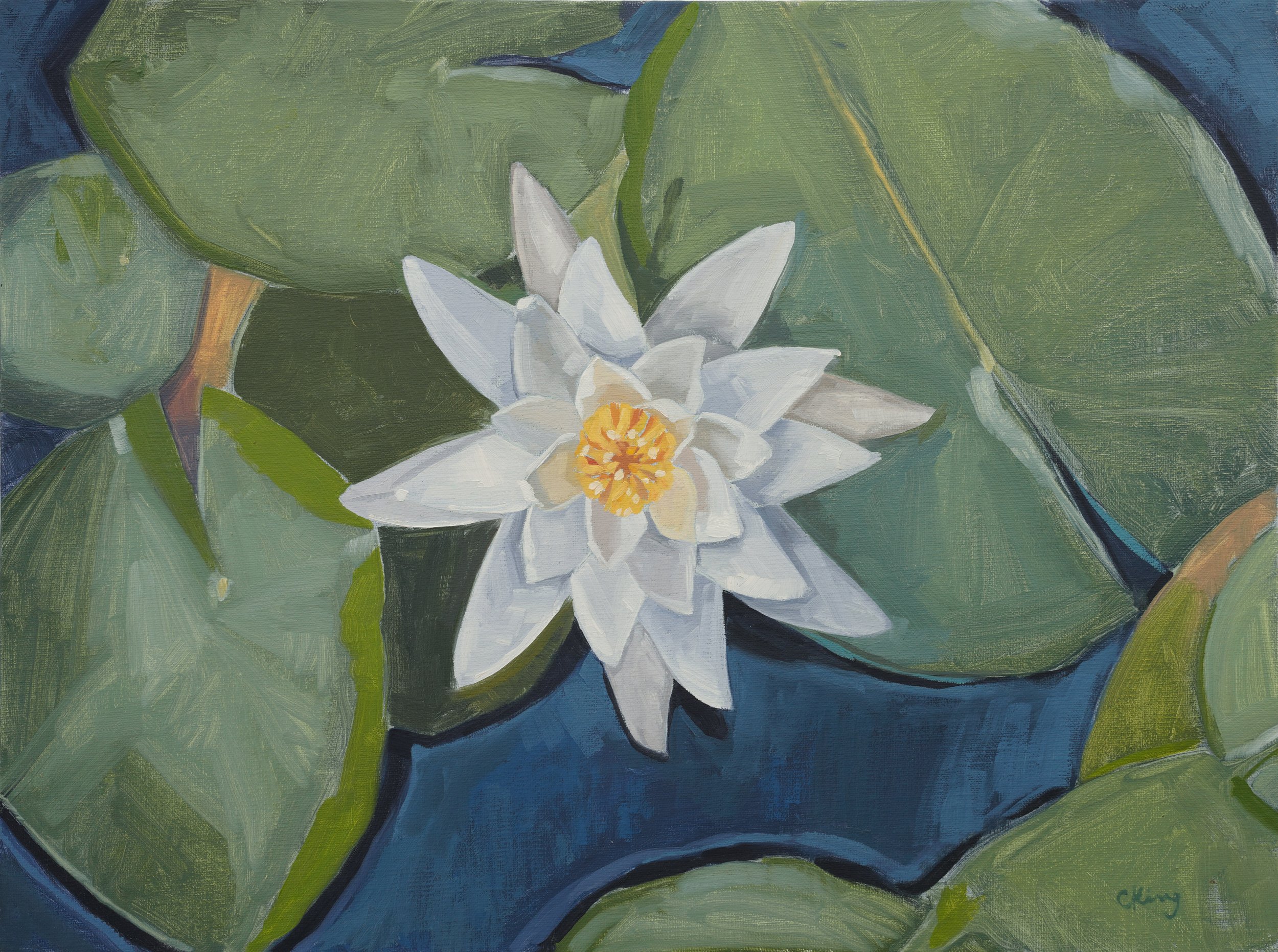 Water Lily, 12x16, oil on linen, $560.jpg