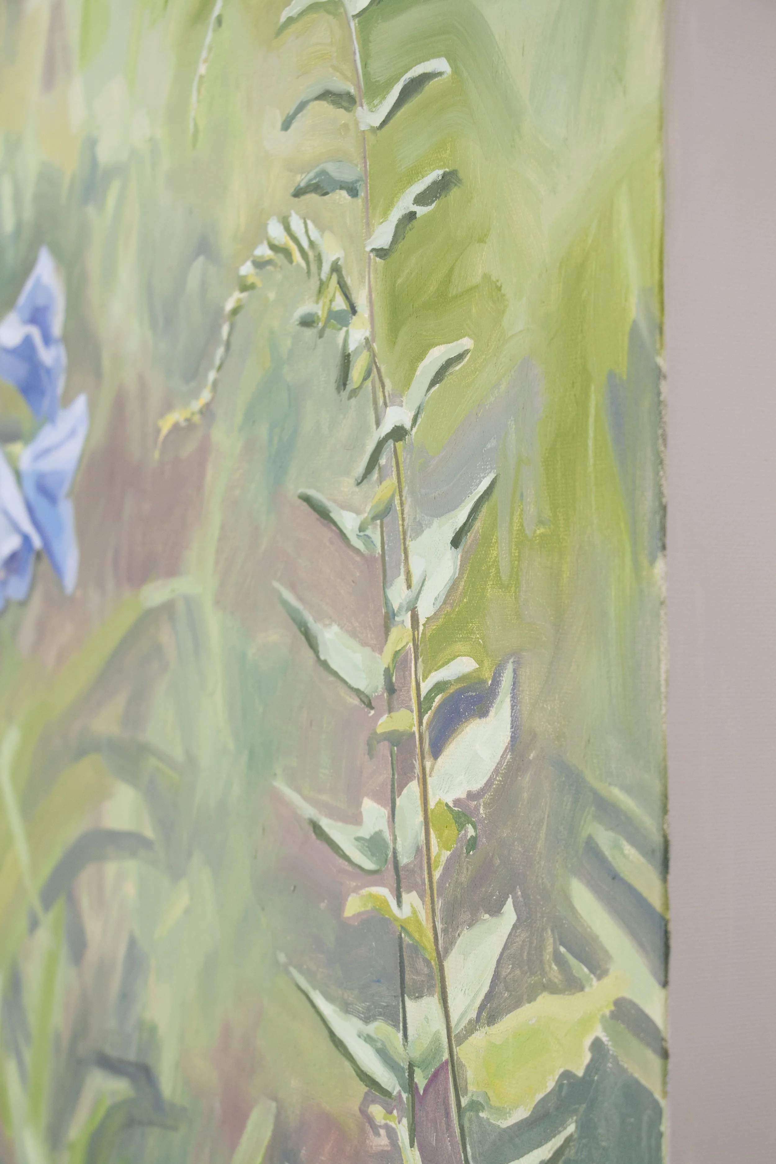 Spreading Jacob's Ladder detail.jpg