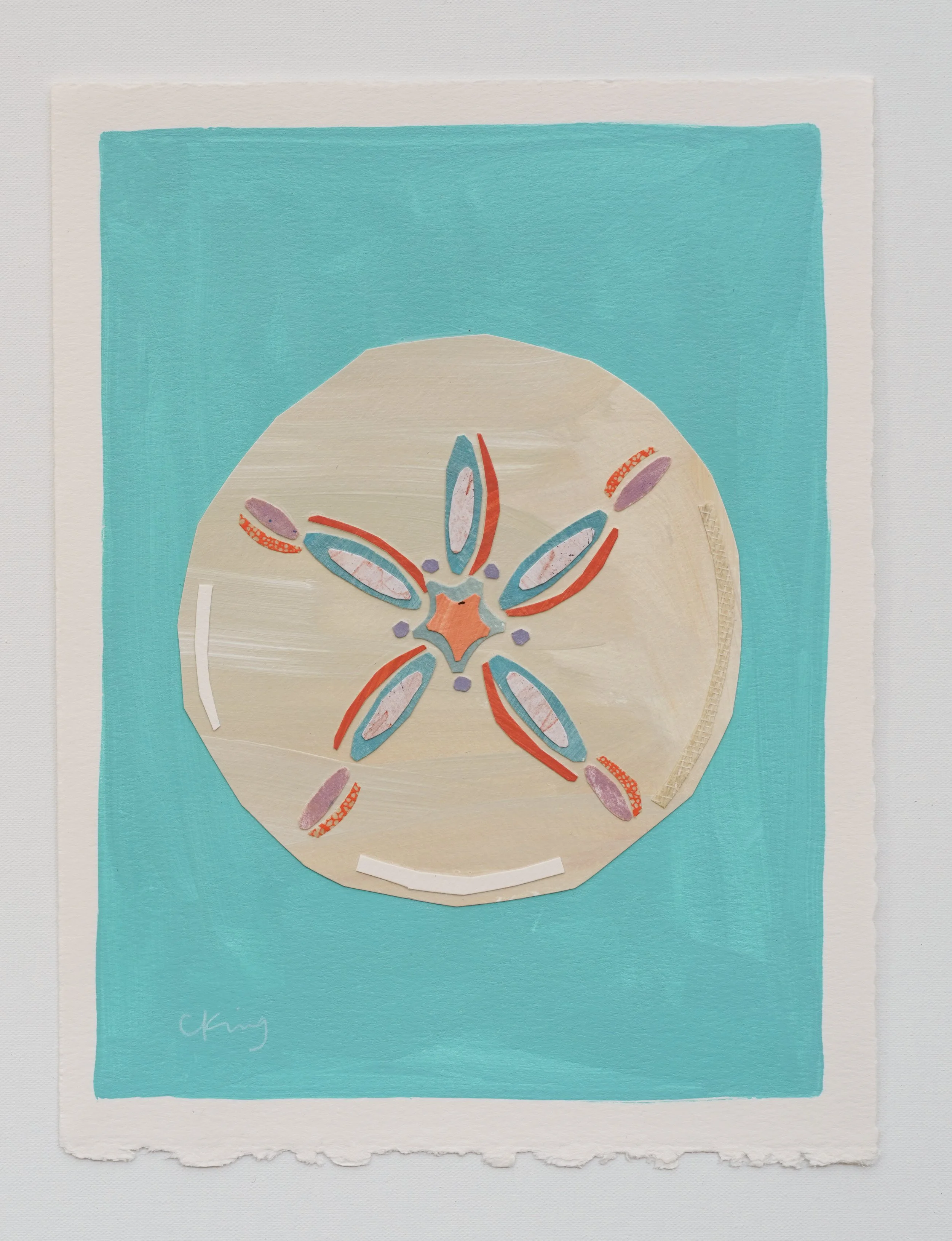 Sand Dollar 1