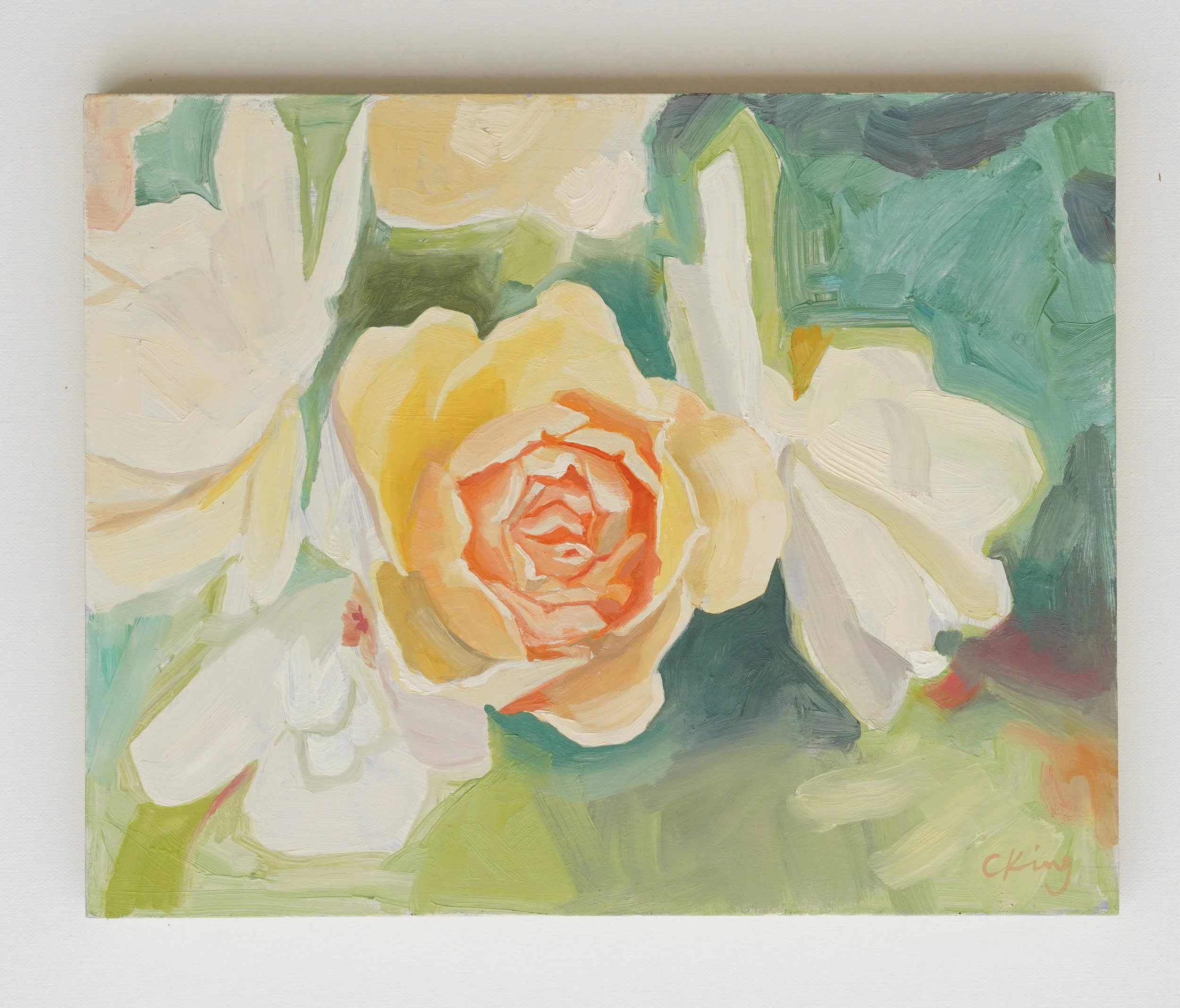 DSC00874.jpg