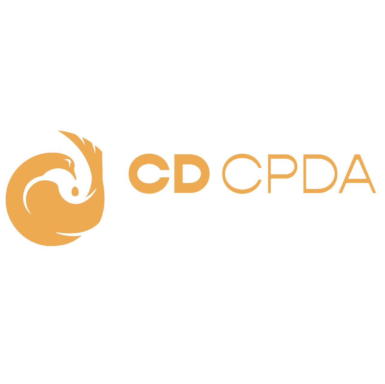 Central District Community Preservation & Development Authority