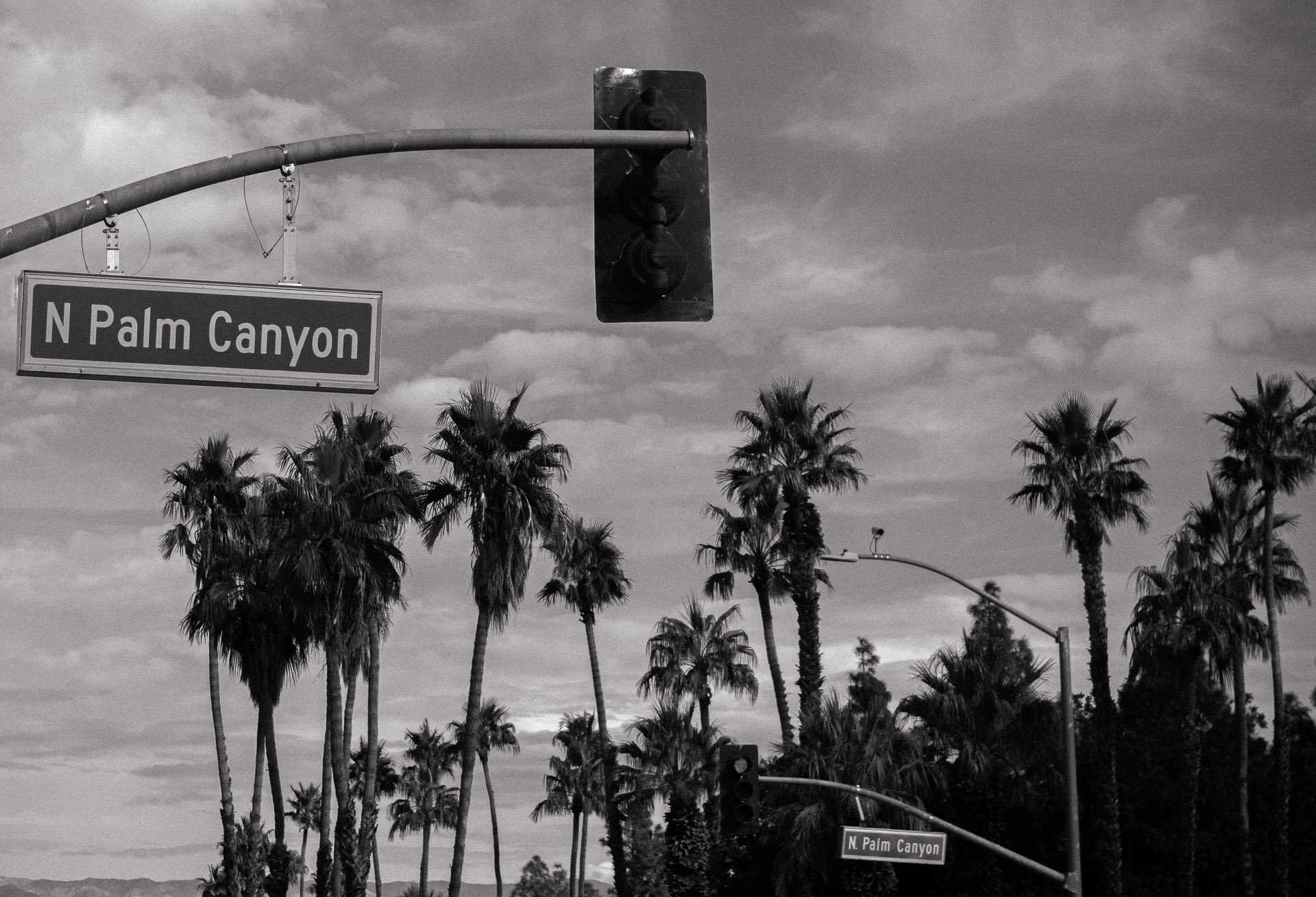 Black and white photo of traffic light and palm trees with "N Palm Canyon" street sign.
