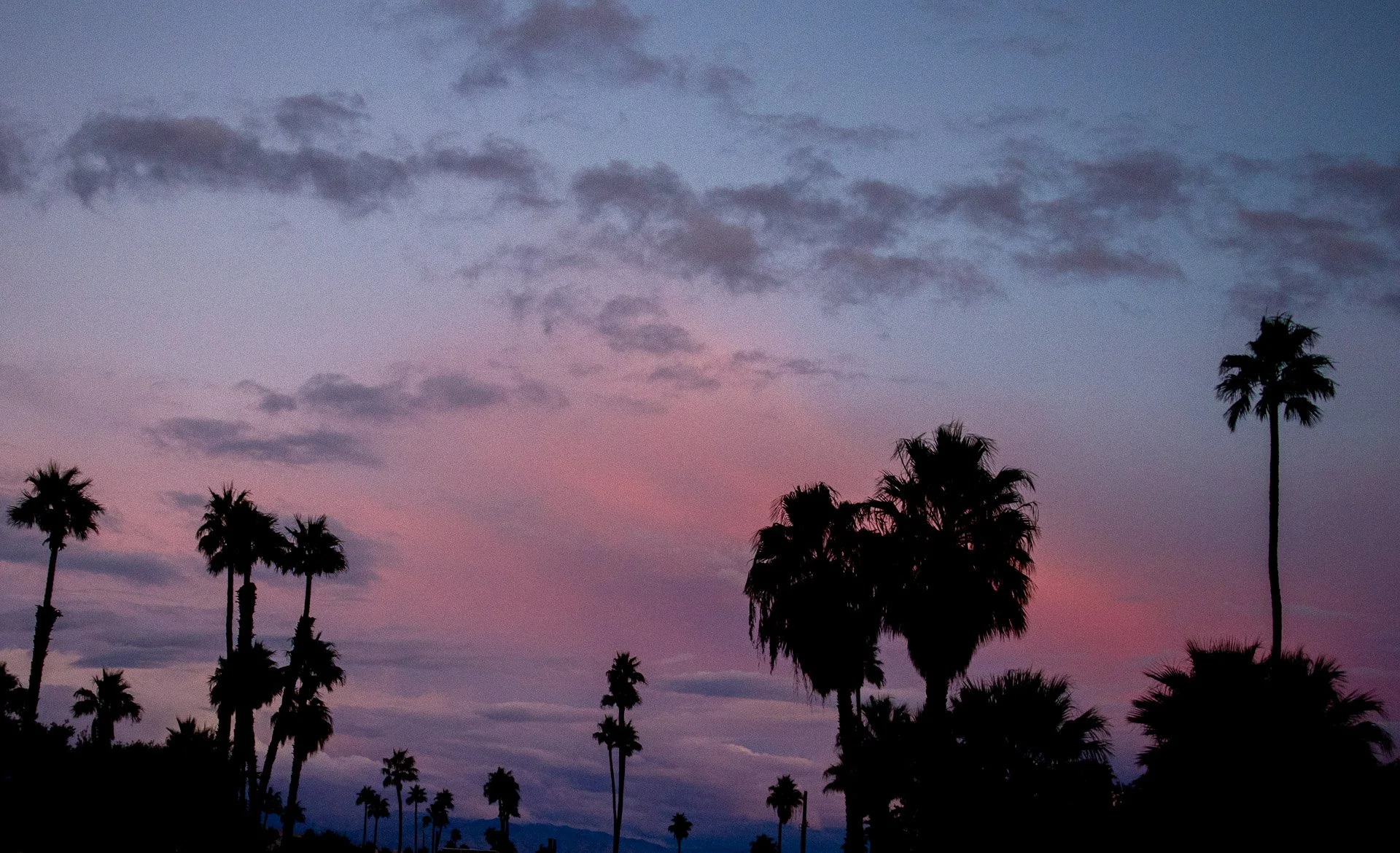 Silhouette of palm trees against a purple and pink sunset sky with scattered clouds.