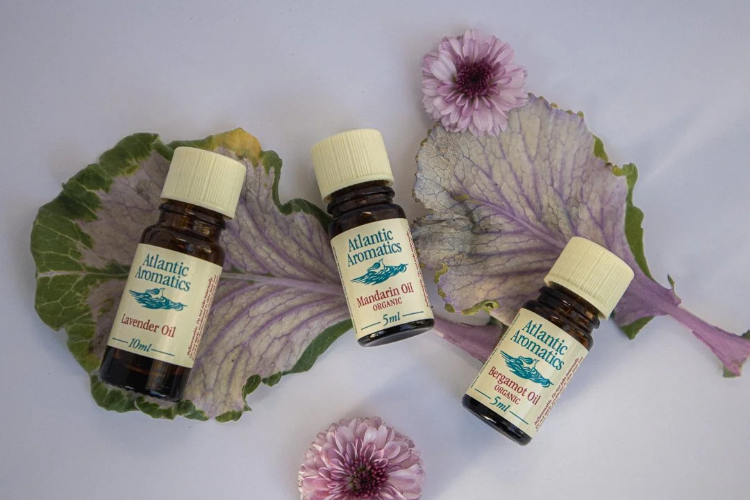 Three bottles of Atlantic Aromatics essential oils (lavender, mandarin, bergamot) on decorative leaves with a purple flower.