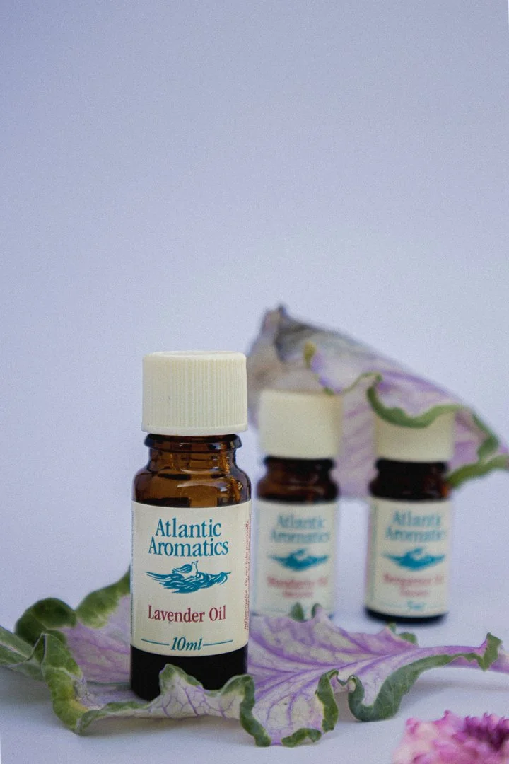 Bottles of Atlantic Aromatics lavender oil with dried leaves