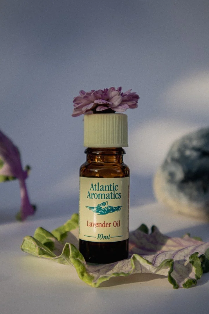 Bottle of Atlantic Aromatics Lavender Oil with a purple flower on top, sitting on a leaf.
