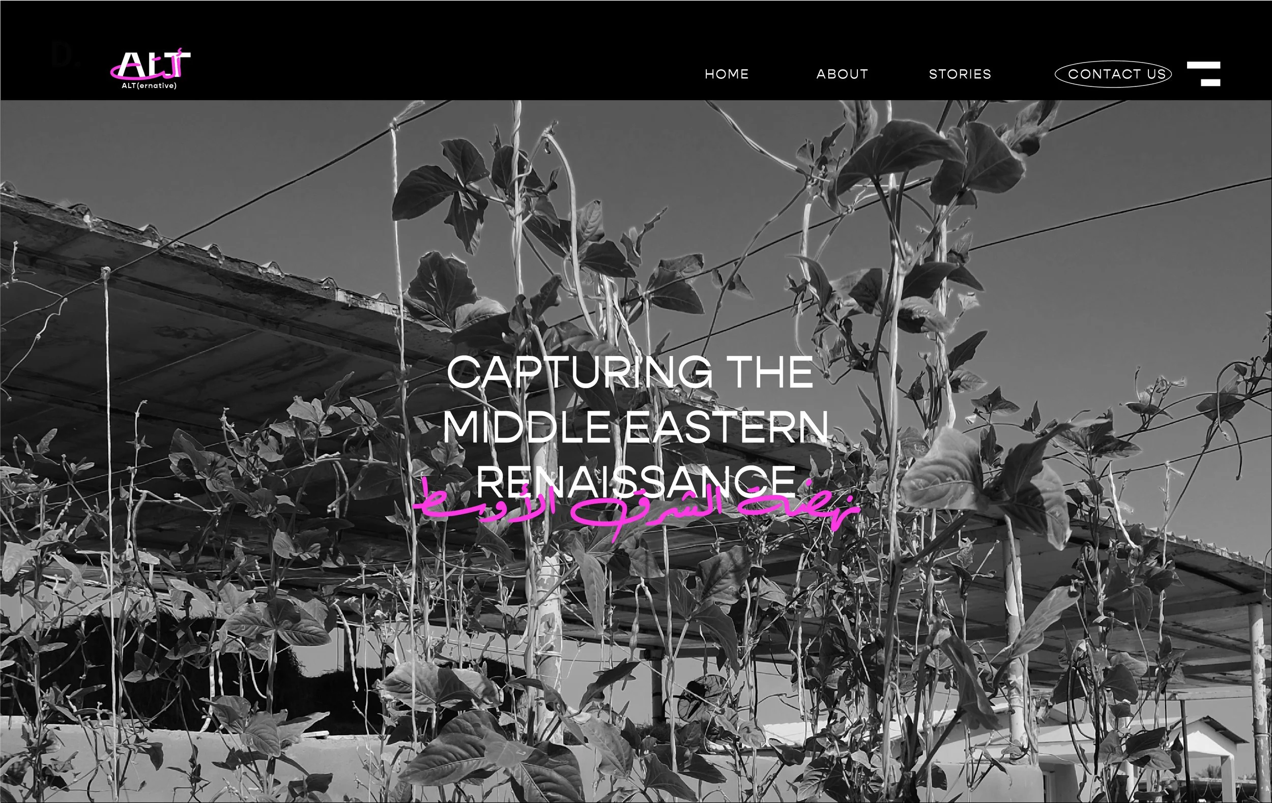 ALT WEBSITE DRAFT 3.jpg