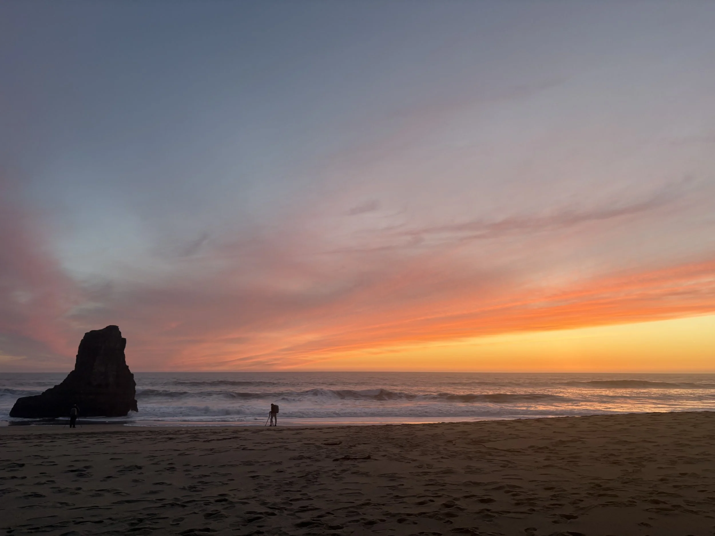 Imbolc, the Fire Horse &amp; Tending the Spark of Your Health