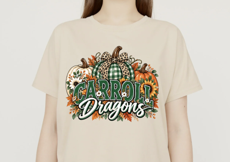 PRE-ORDER  Youth & Women's Fall Pumpkin Dragons T-Shirt or Sweatshirt
