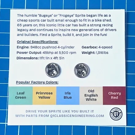 Q1-Bugeye-Enamel-Pin-5.webp