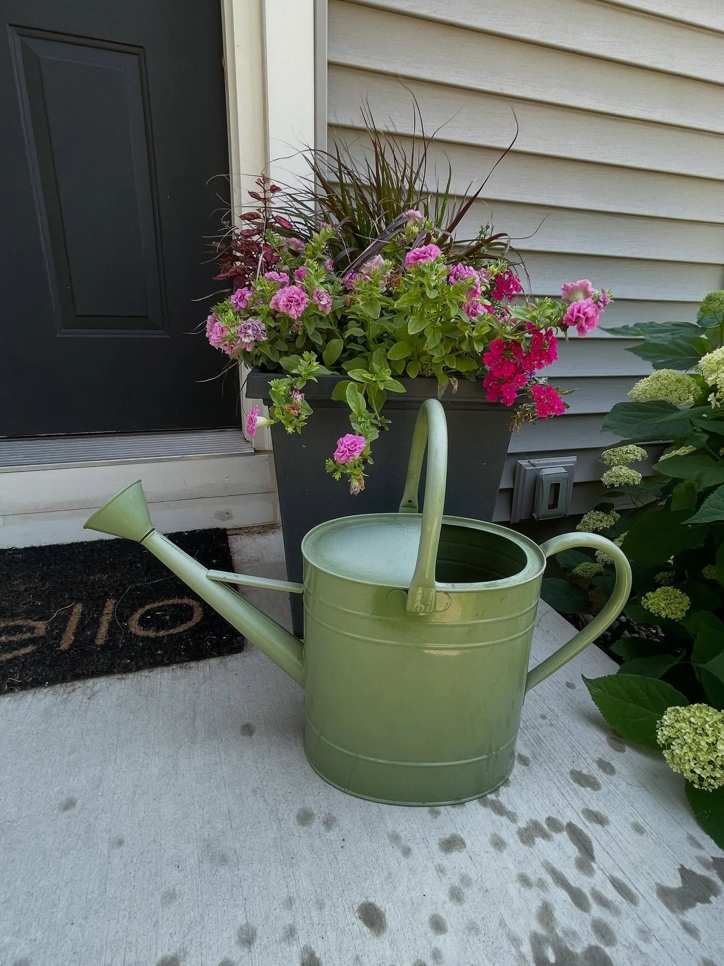 Once again, Autumn Farm Co. leveled up our flower and window boxes! Thank you so much MaKenna Hoekstra for keeping the outside of our house looking so cheery and homey all year round! 🌺 🌼
#autumnfarmco #havenmissionaryhomes #zeelandmi #nonprofit