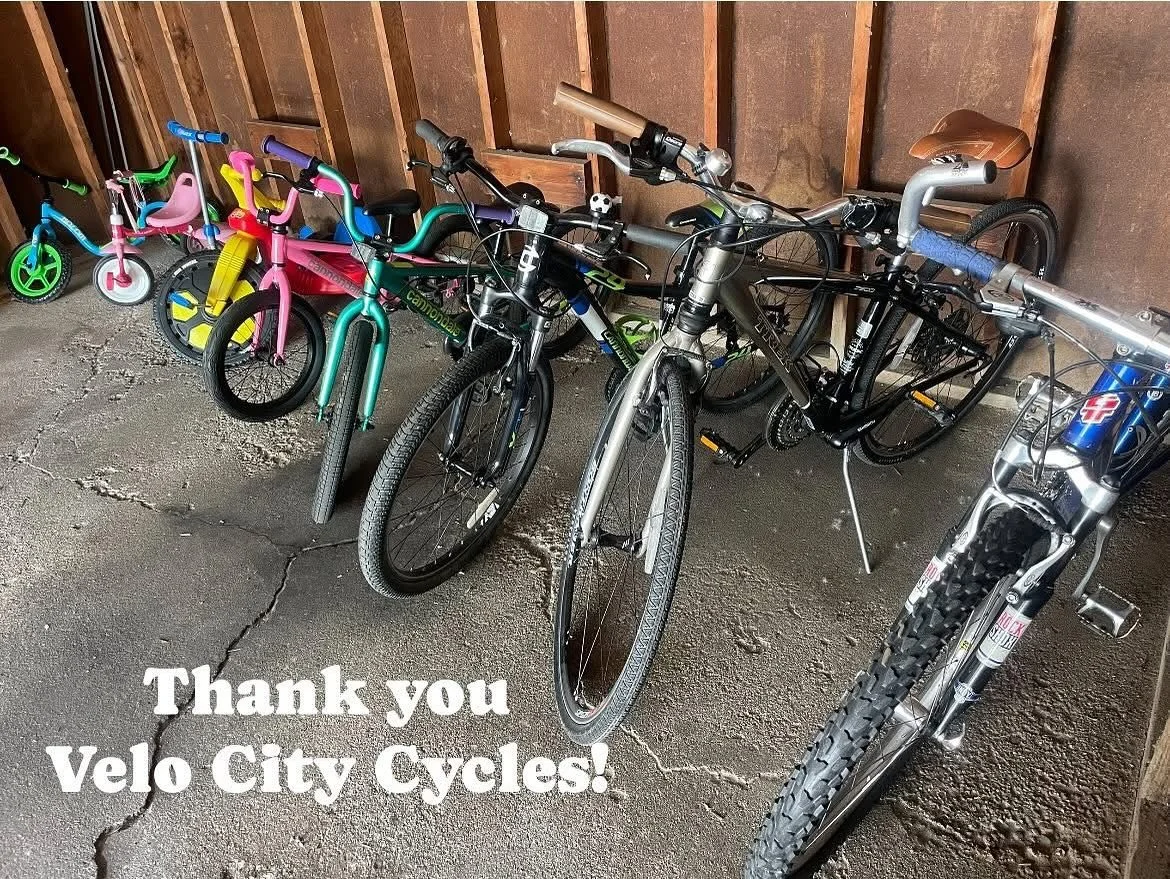 Thank you Velo City Cycles for helping us stock our garage with some fabulous used bikes! Our house is just a mile from downtown Zeeland, and we love the idea of families being able to ride to the library, gym, splash pad, restaurants and shops. 🚲