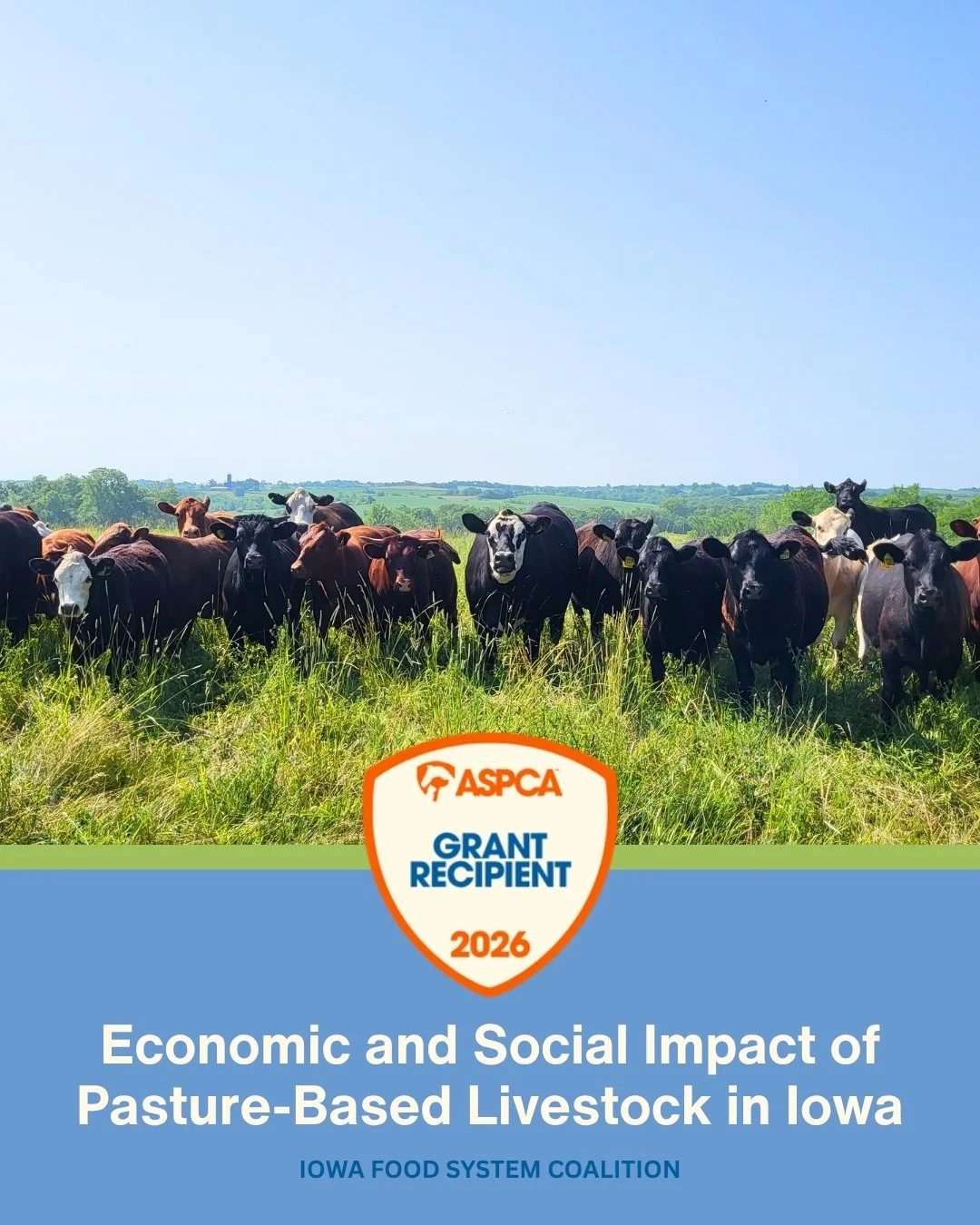 Iowa Food System Coalition Receives ASPCA Grant to Study Economic Impact of Pasture-Based Livestock Farming