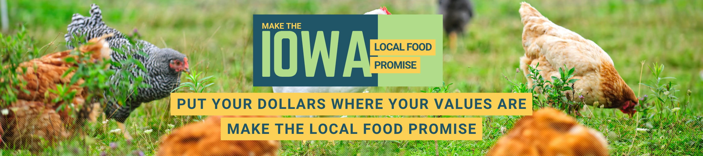 Farm scene with chickens in green grass, promotional banner for Iowa local food promise.