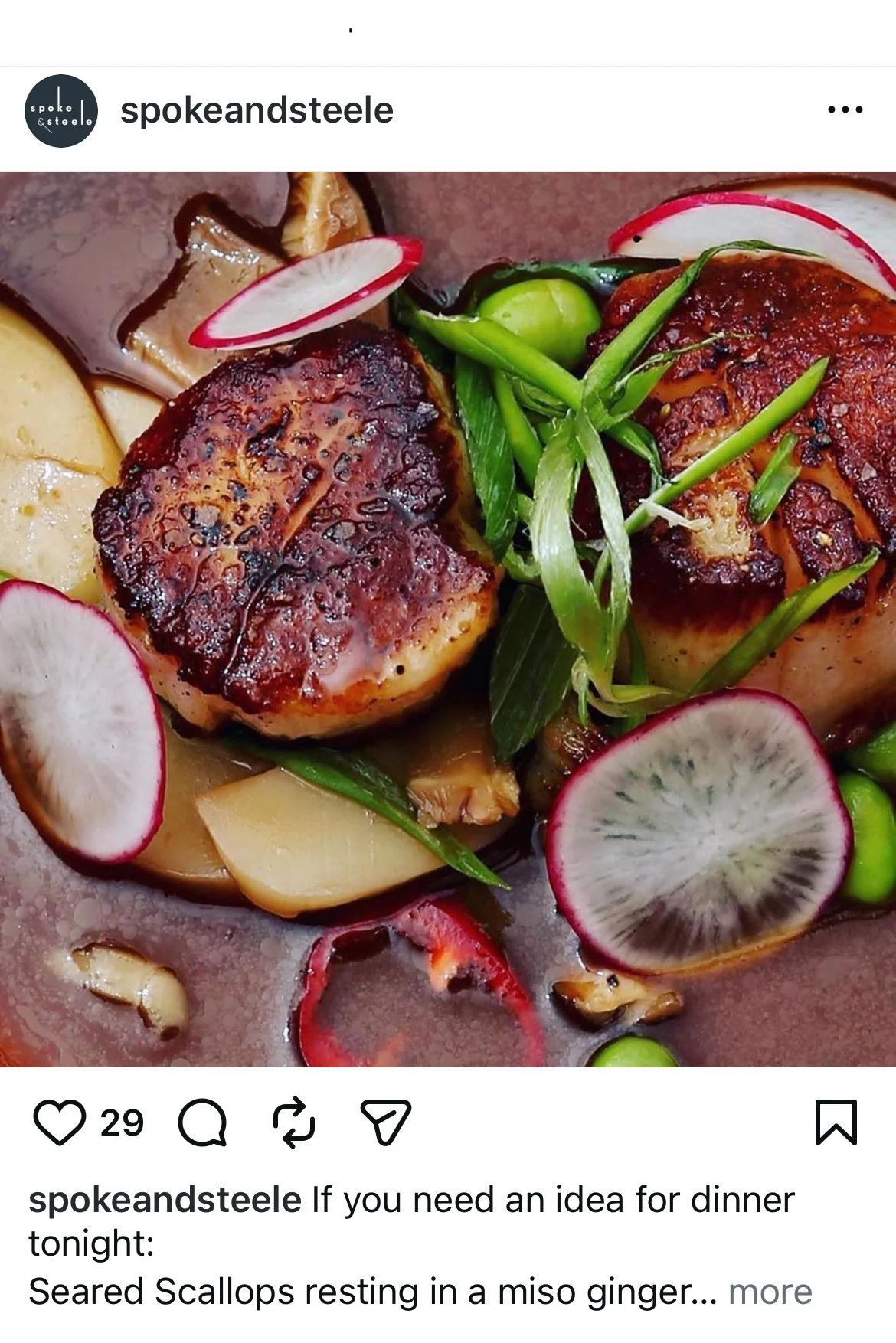 IG3.jpg