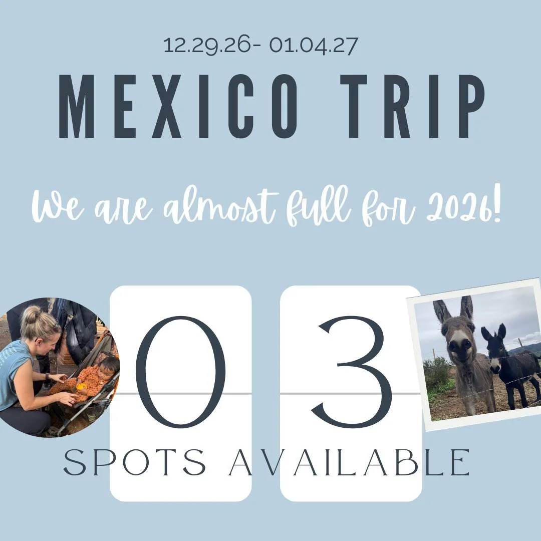 We would love for you to join us!
https://www.selah-outreach.org/trips