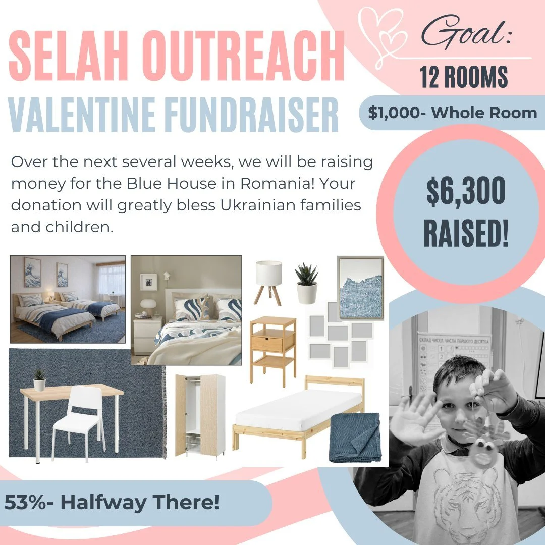 All the bedding has been purchased from Ikea and is being shipped to the blue house!  Thank you for your help!  We are just over half way to our goal.  We are still working on some finishing touches (closet armoires, rugs, shower curtains, window cur