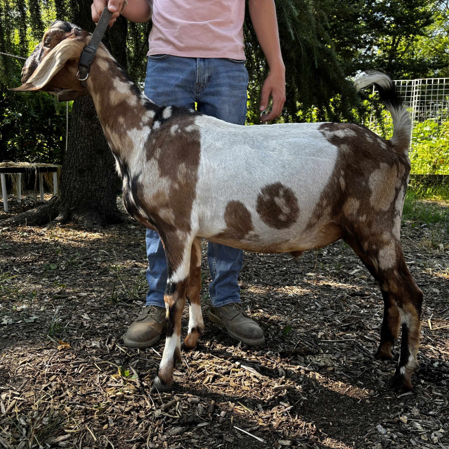 Photos courtesy of FROG Farms