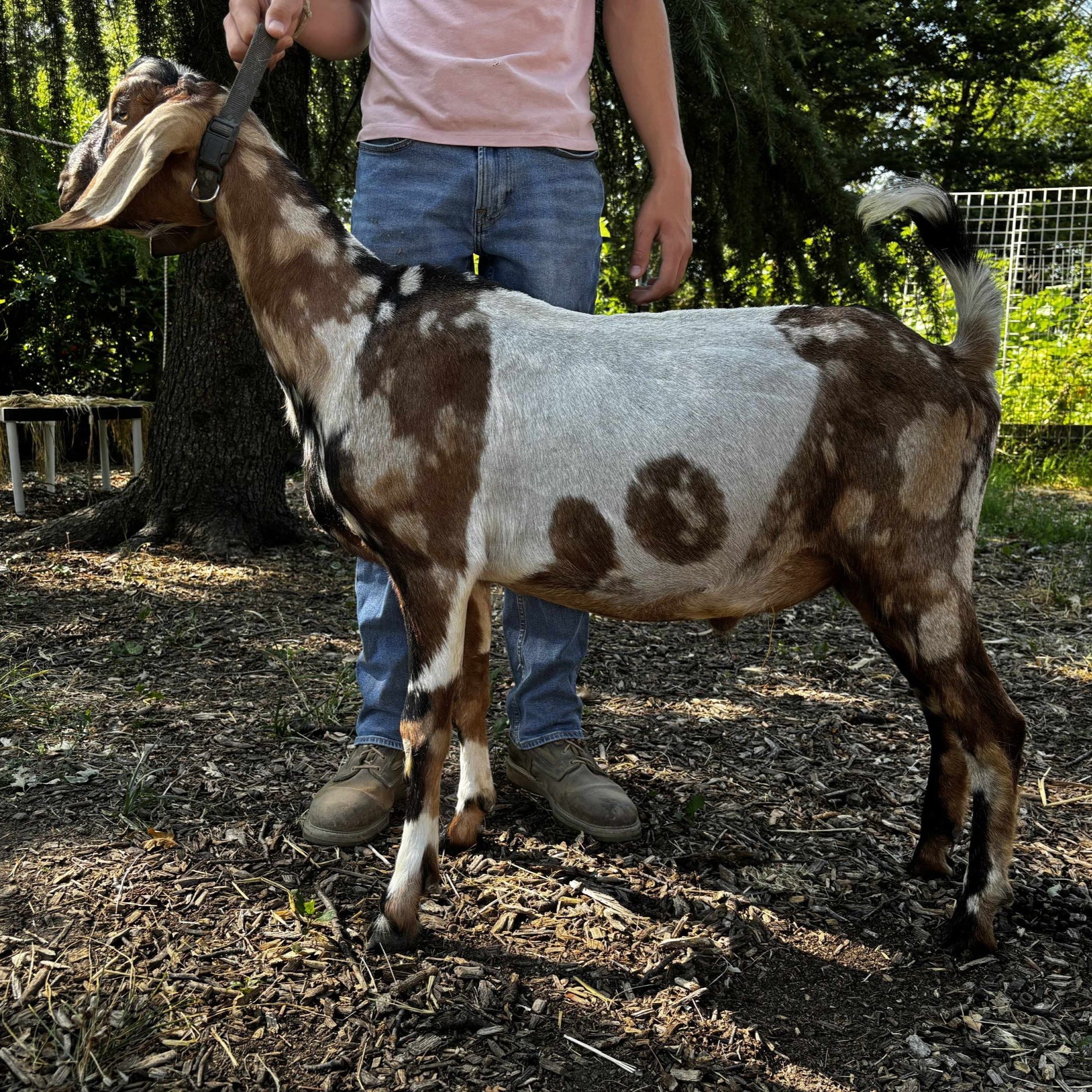 Photos courtesy of FROG Farms