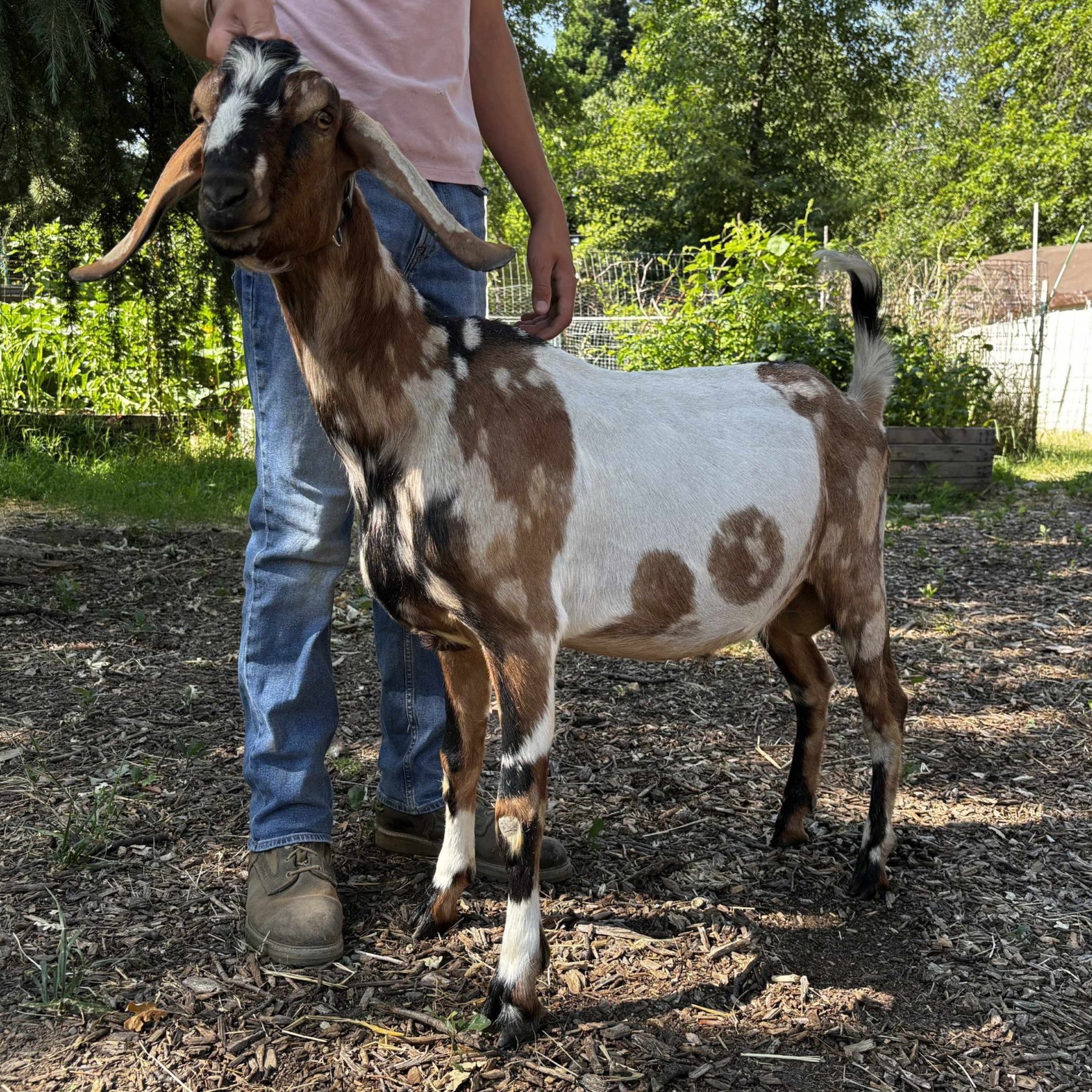Photos courtesy of FROG Farms