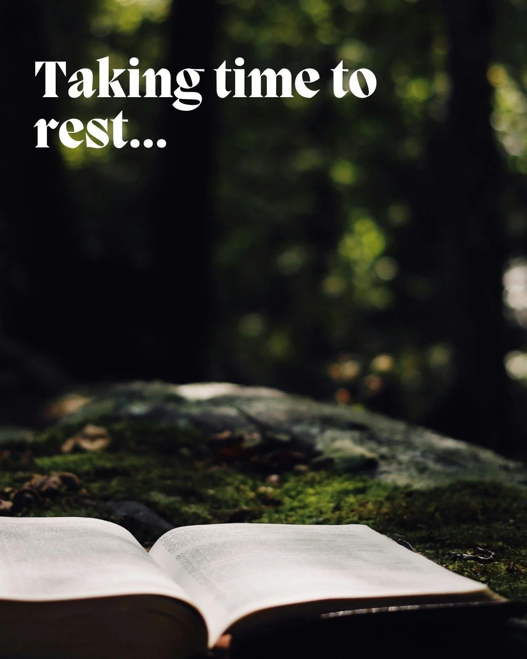 The Wound as Teacher //

One thing that is guaranteed - life will not always go as planned. Injuries, illnesses (or other wounds) can stop us in our tracks and cause no end of frustration. But what can they also teach? Where can the wound be a guide 