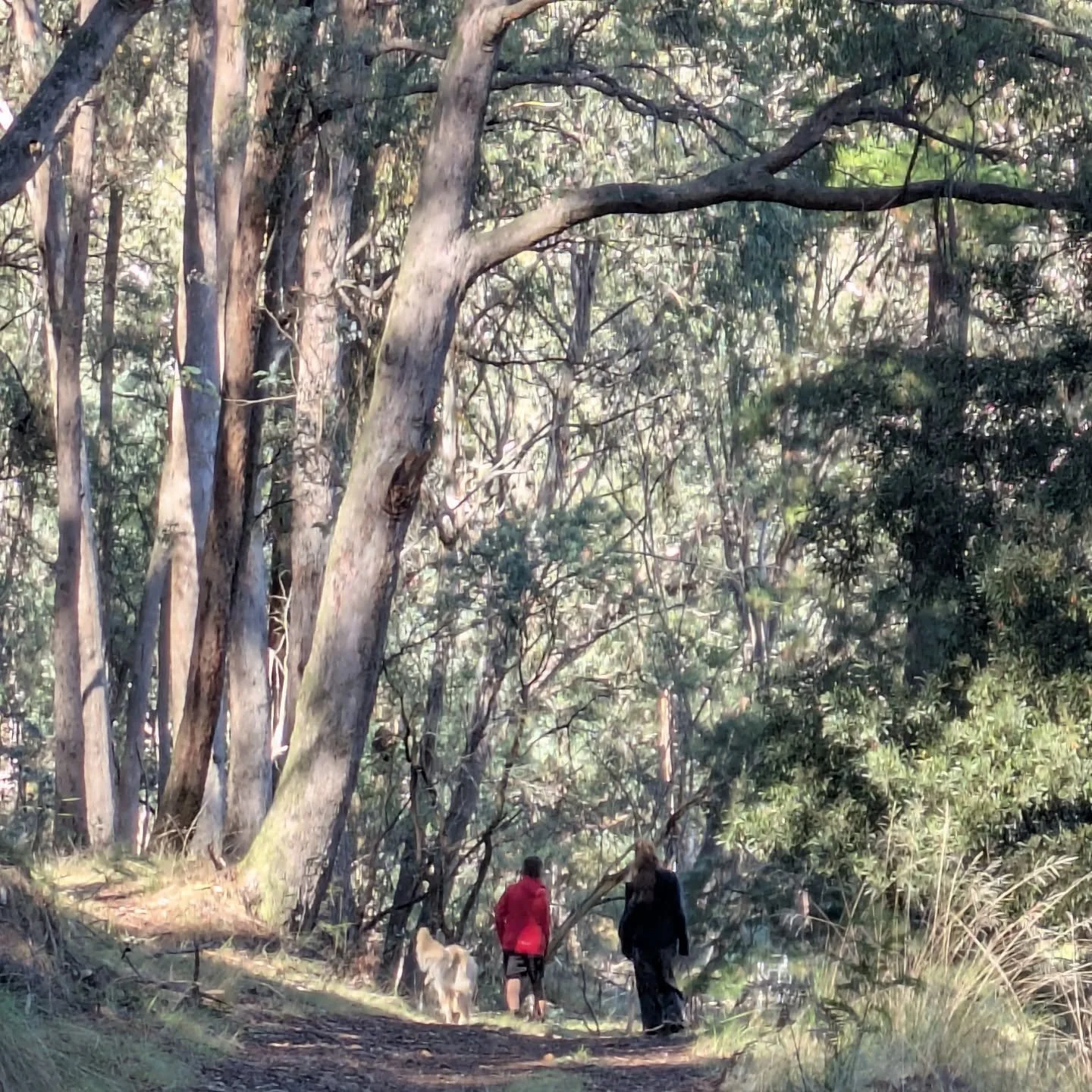 Savouring the moments // 

This mother's day I'm savouring moments of connection and love. Let's face it, in the chaos of juggling parenting with work and life they can become stretched. This week in particular has inspired me to make the effort to l