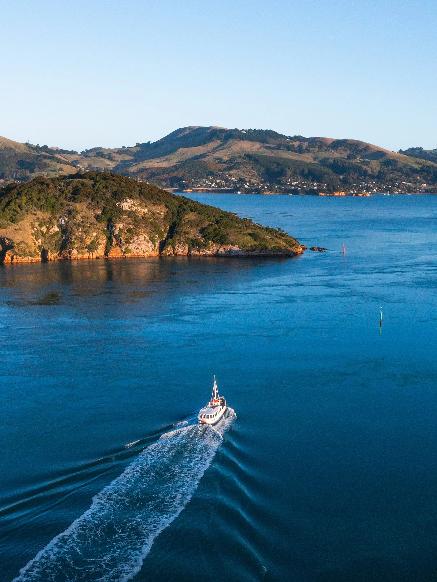 MV_Monarch-0342a.jpg