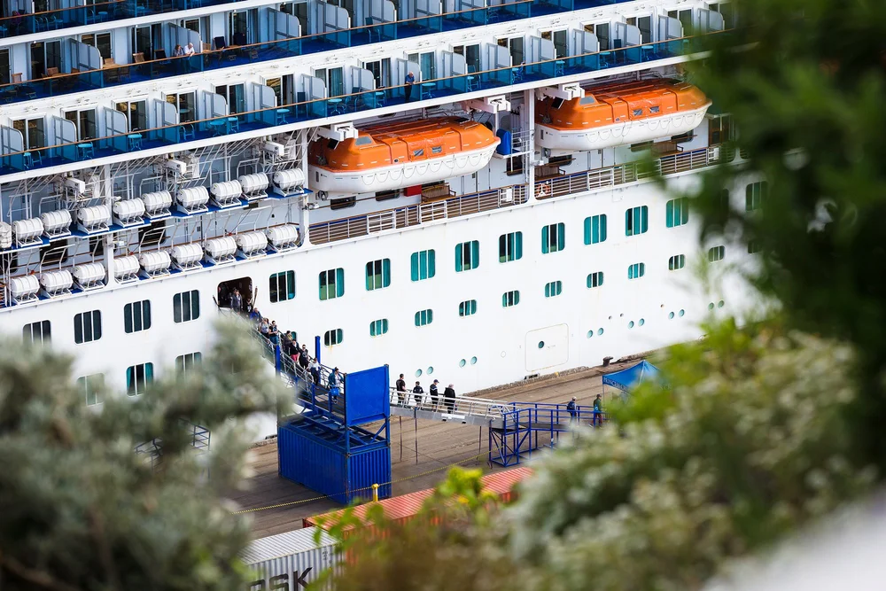 Dunedin Cruise Ship Shore Tours — Monarch Wildlife Cruises & Tours