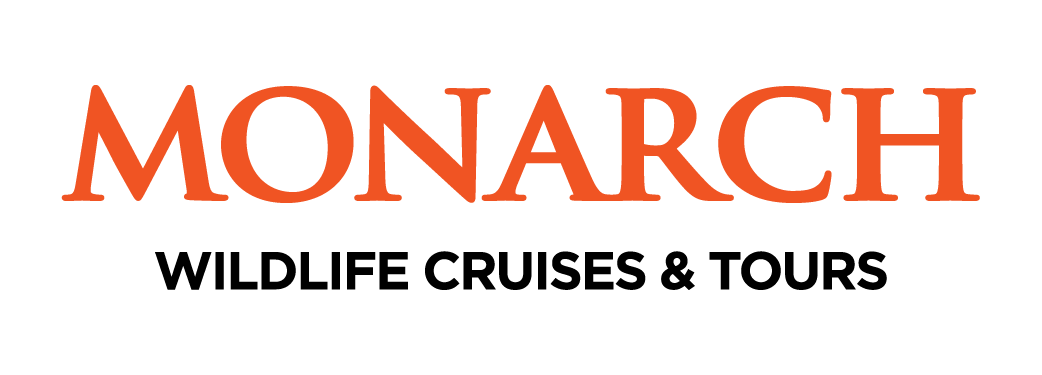Monarch Wildlife Cruises &amp; Tours