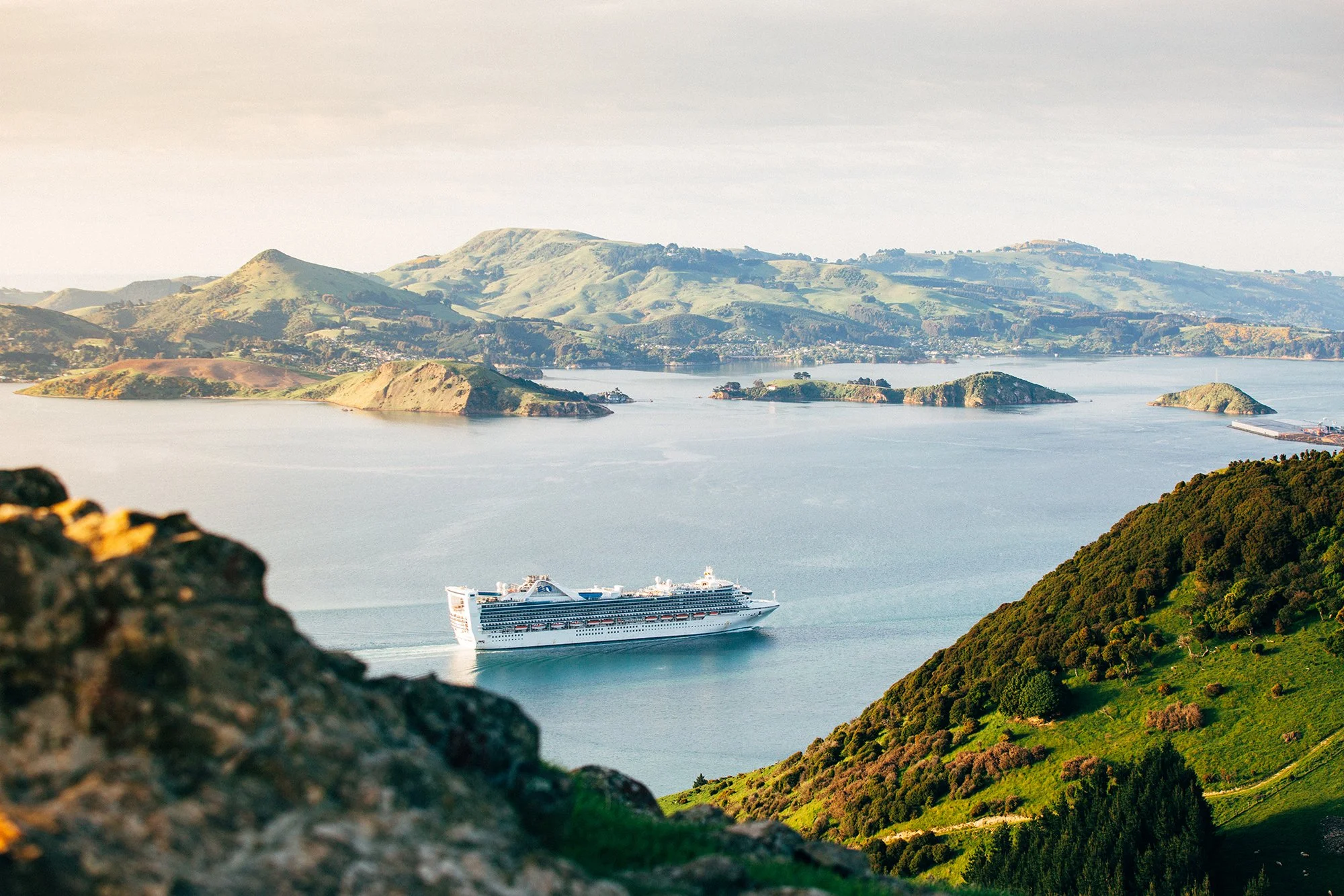 Dunedin Cruise Ship Shore Tours — Monarch Wildlife Cruises & Tours