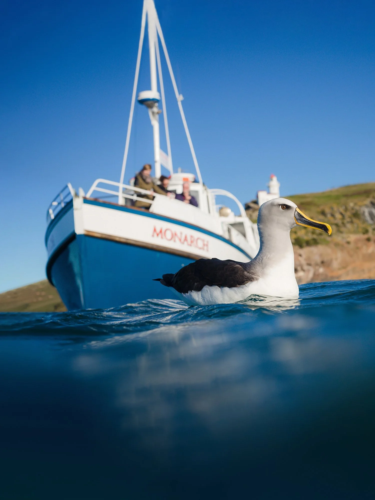 Bullers-12a.jpg