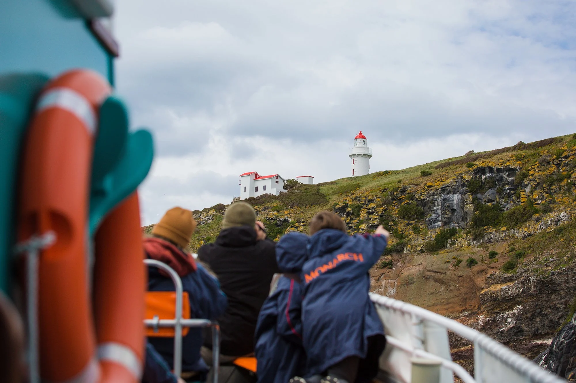 Taiaroa Head.jpg